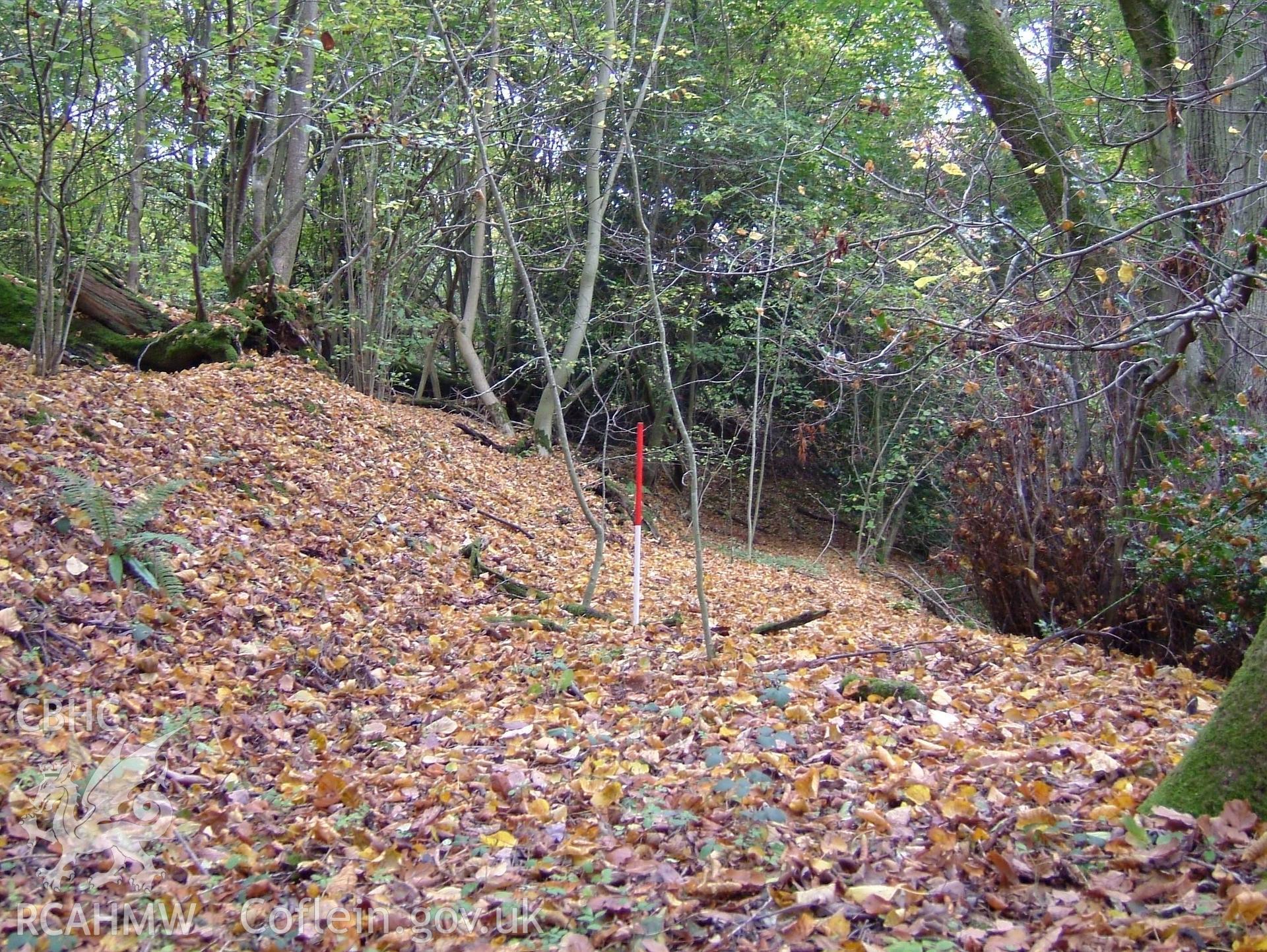 Digital colour photograph taken as part of an archaeological survey at the Piercefield walks, 2004. The photograph shows part of the Piercefield Estate.