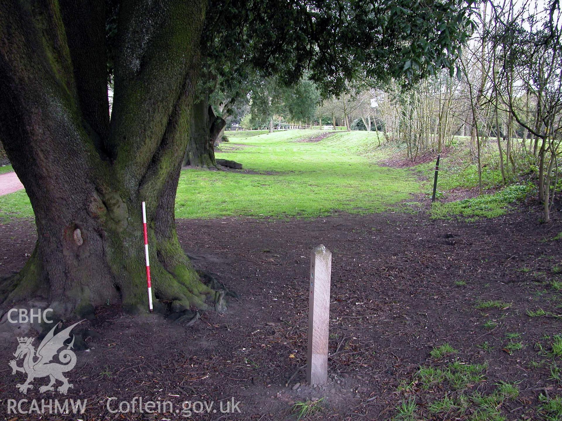 Digital photograph of part of the assessment area, taken from an archaeological impact assessment and field walkover of Pontcanna Fields in Cardiff.