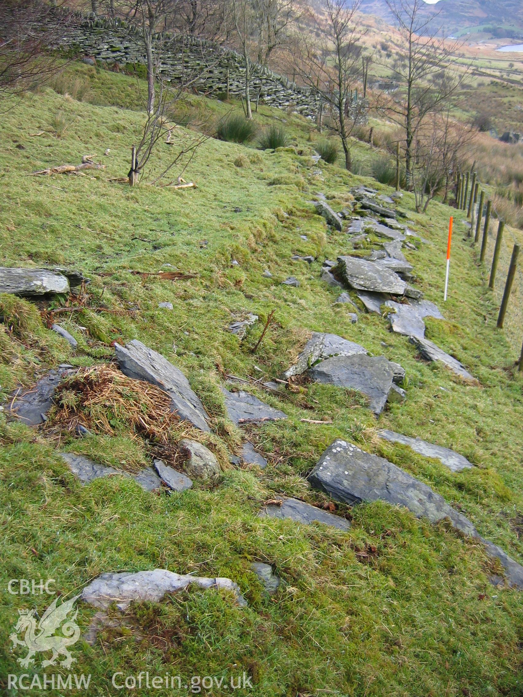Photograph of Dyffryn Mymbyr Enclosure XI taken during Upland Survey by staff of EAS Contracts.