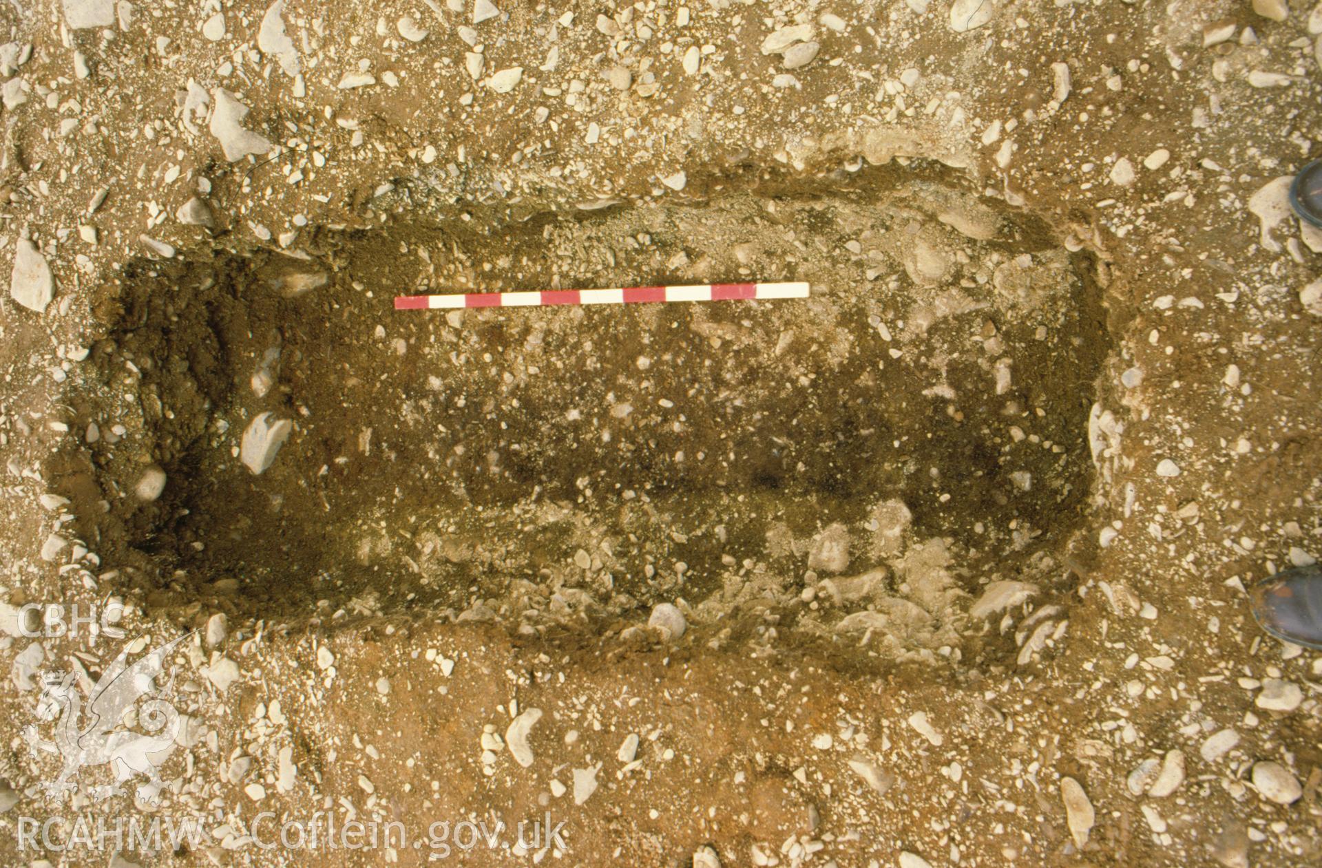 Plas Gogerddan Excavation, grave 217 viewed from east.