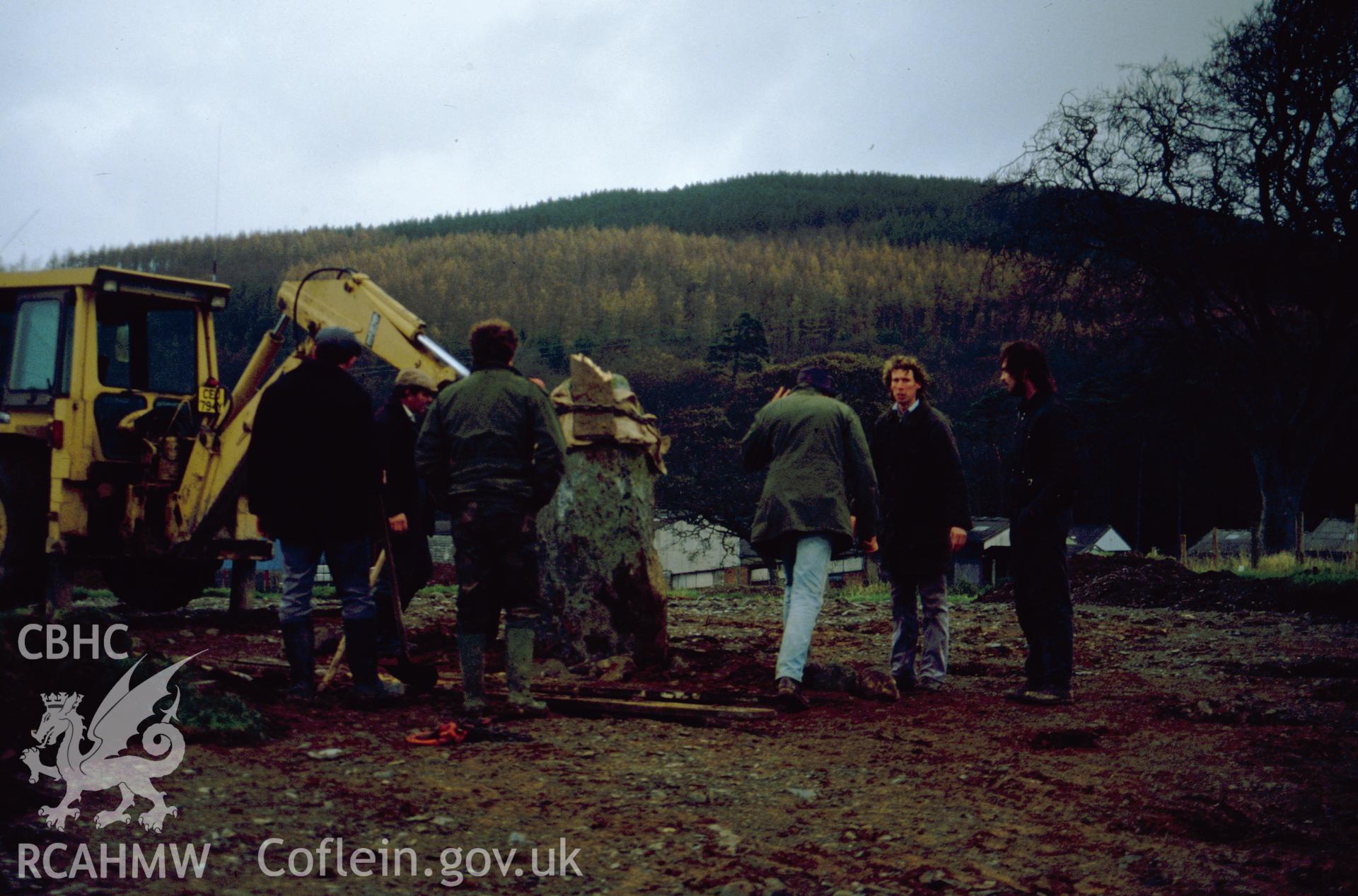 Plas Gogerddan Excavation, re-erecting the stone, looking north-east.