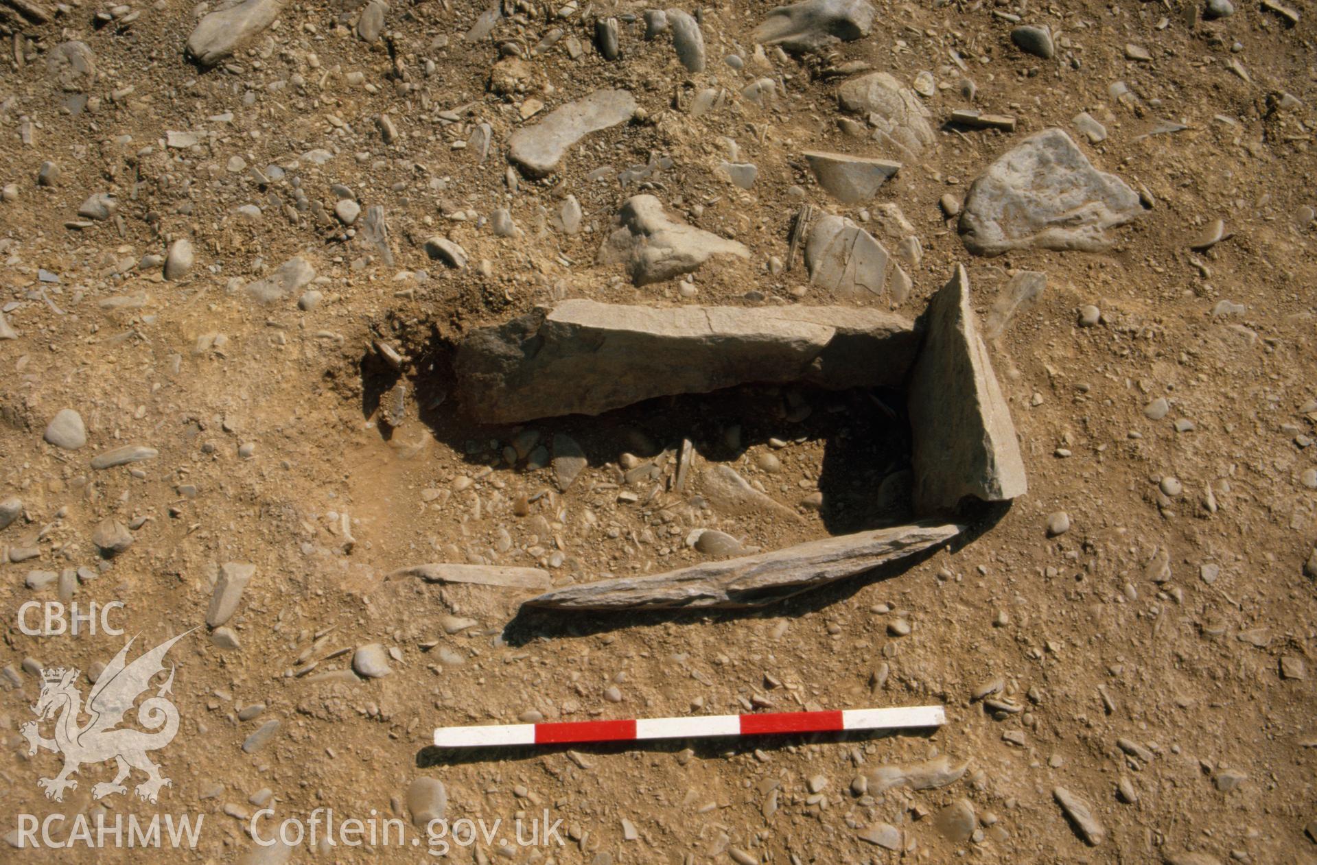 Plas Gogerddan Excavation, cist 6 viewed from north.