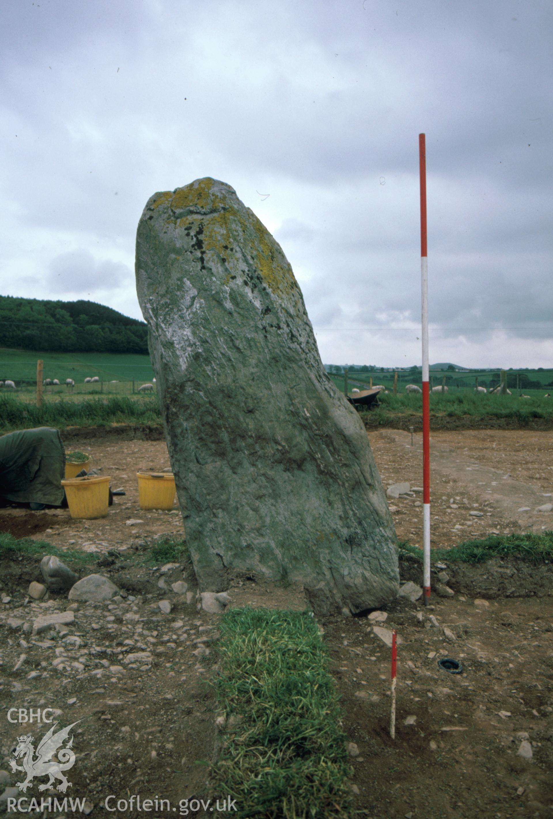 Plas Gogerddan Excavation, viewed from north.