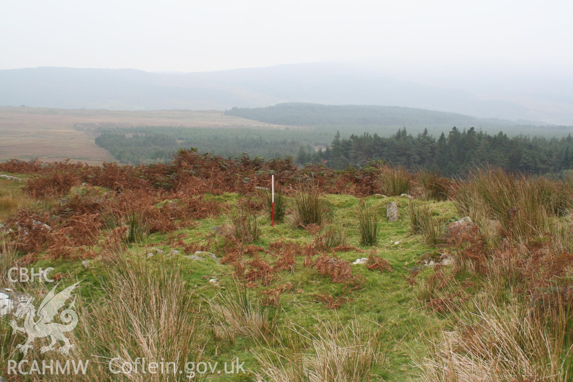 Hut Circle, W of Mynydd Cribau, Cefn-Glas, looking southeast