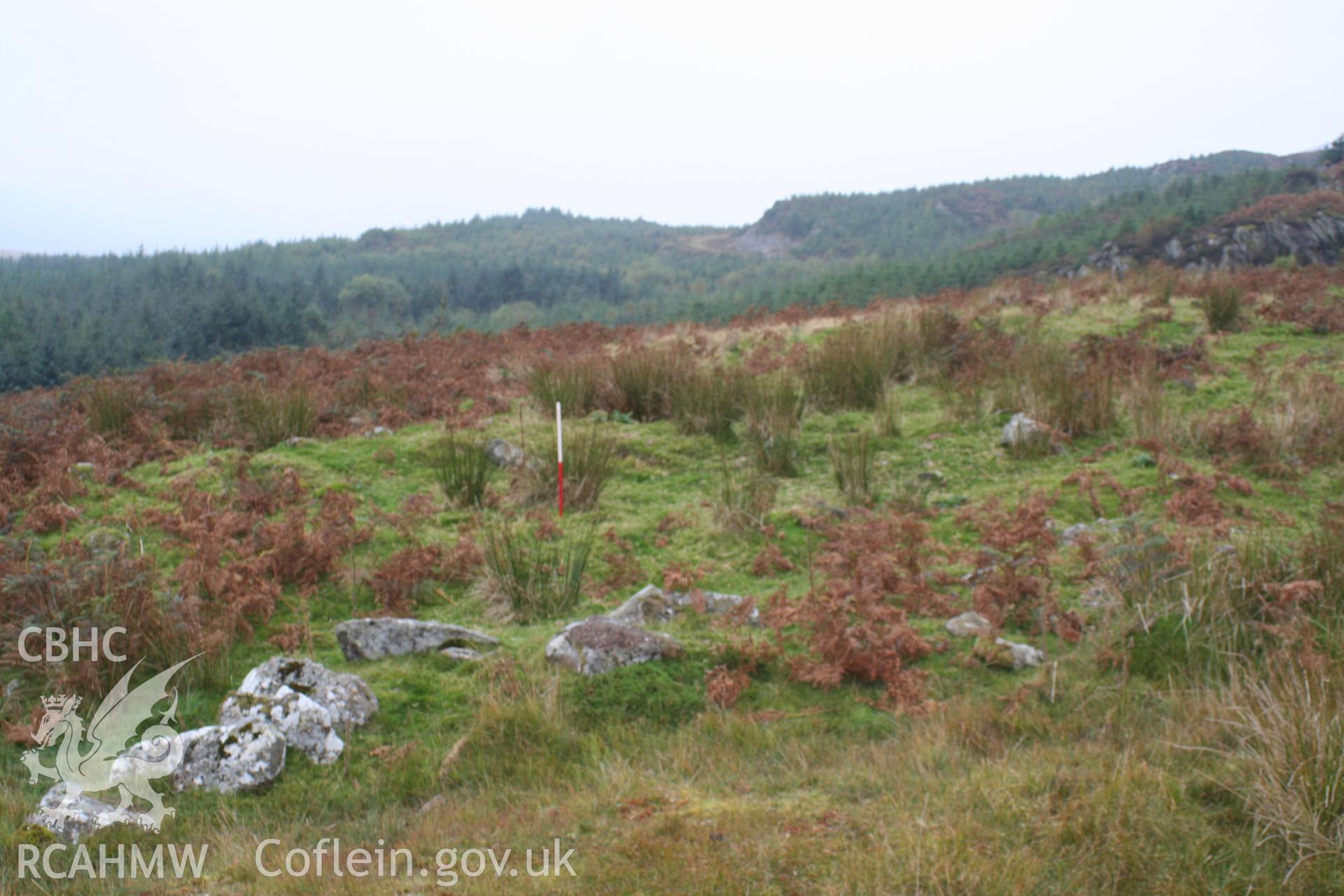 Hut Circle, W of Mynydd Cribau, Cefn-Glas, looking west