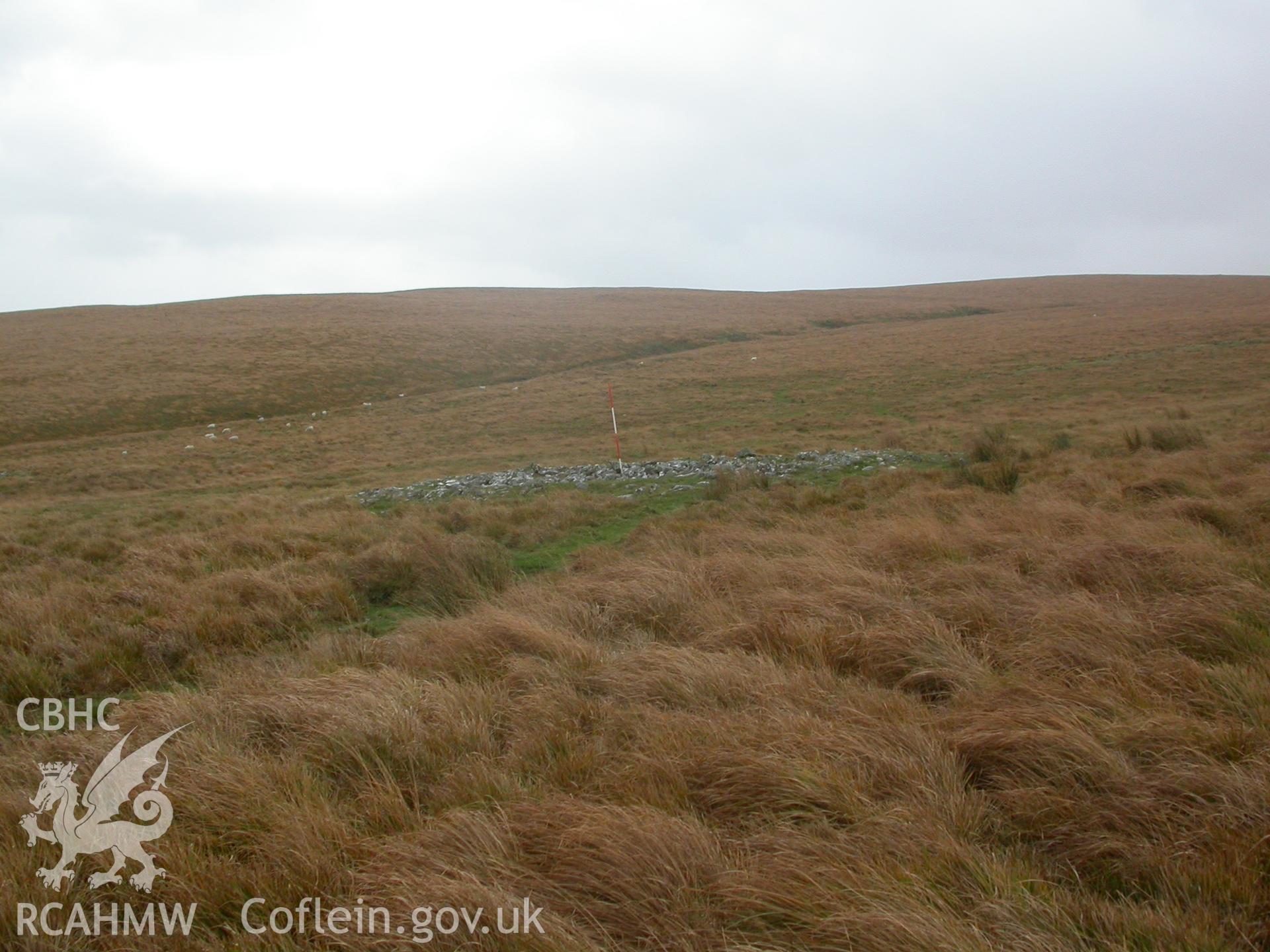 Ring cairn seen from west (2m scale).