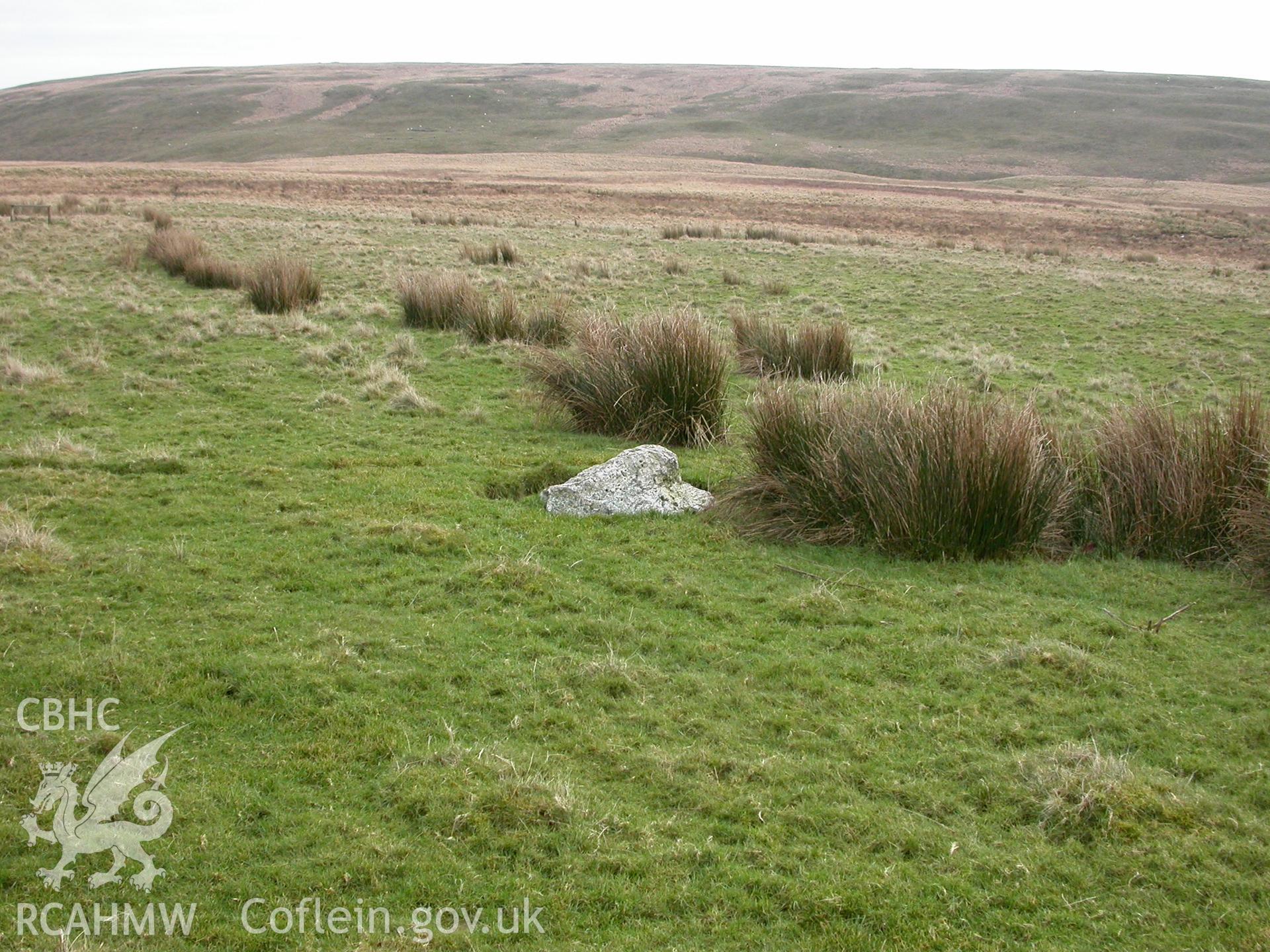 Standing stone within complex, view from north-west (NPRN404901)