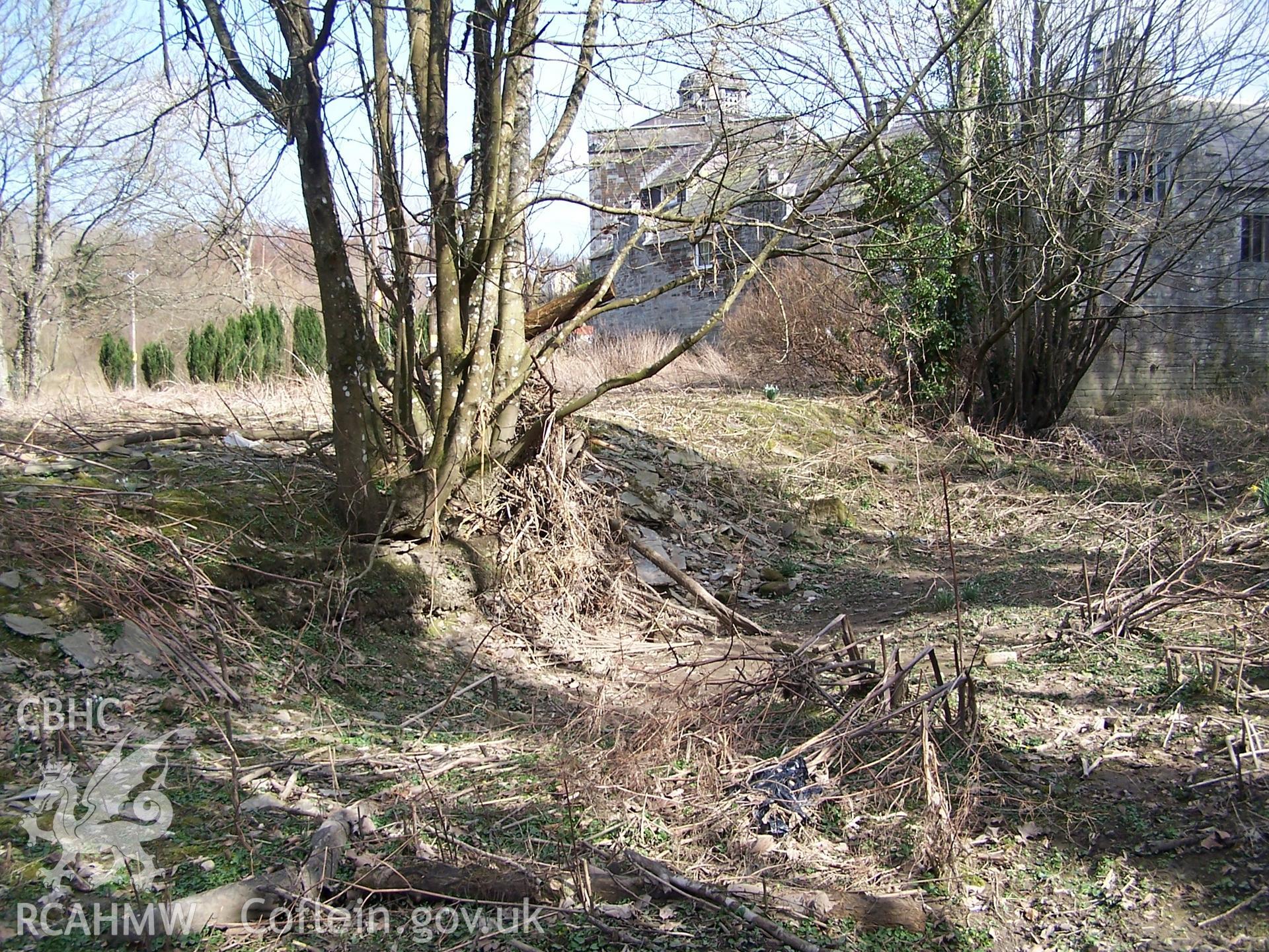 Colour digital photograph of Castell Malgwyn Canal, by Louise Barker, 01/03/2006.