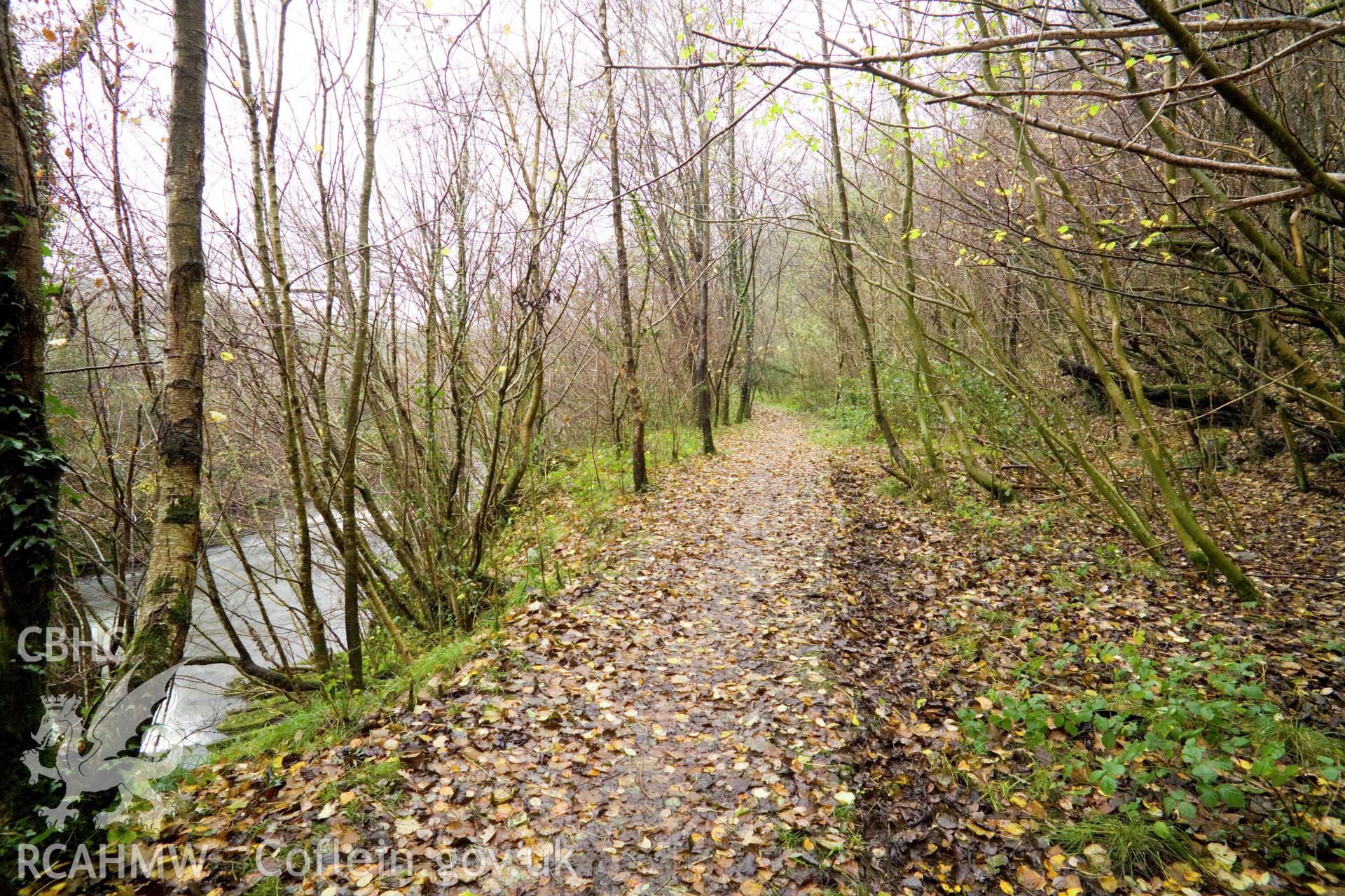 RCAHMW digital photographic survey of Raised Embankment, Swansea canal, Cae'r Bont., by Iain Wright, 20/11/2006.