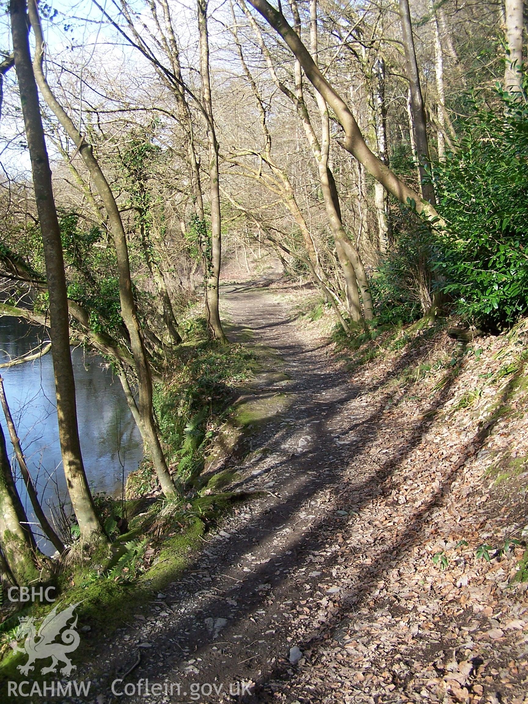 Looking north along the tow path beside the River Teifi at Castell Malgwyn.