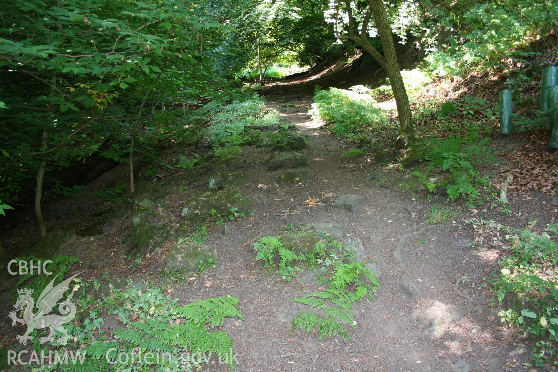 Looking up (west) Incline Stage 2 of the Llanfoist Inclines, with the line of stone blocks which held the iron rails visible.