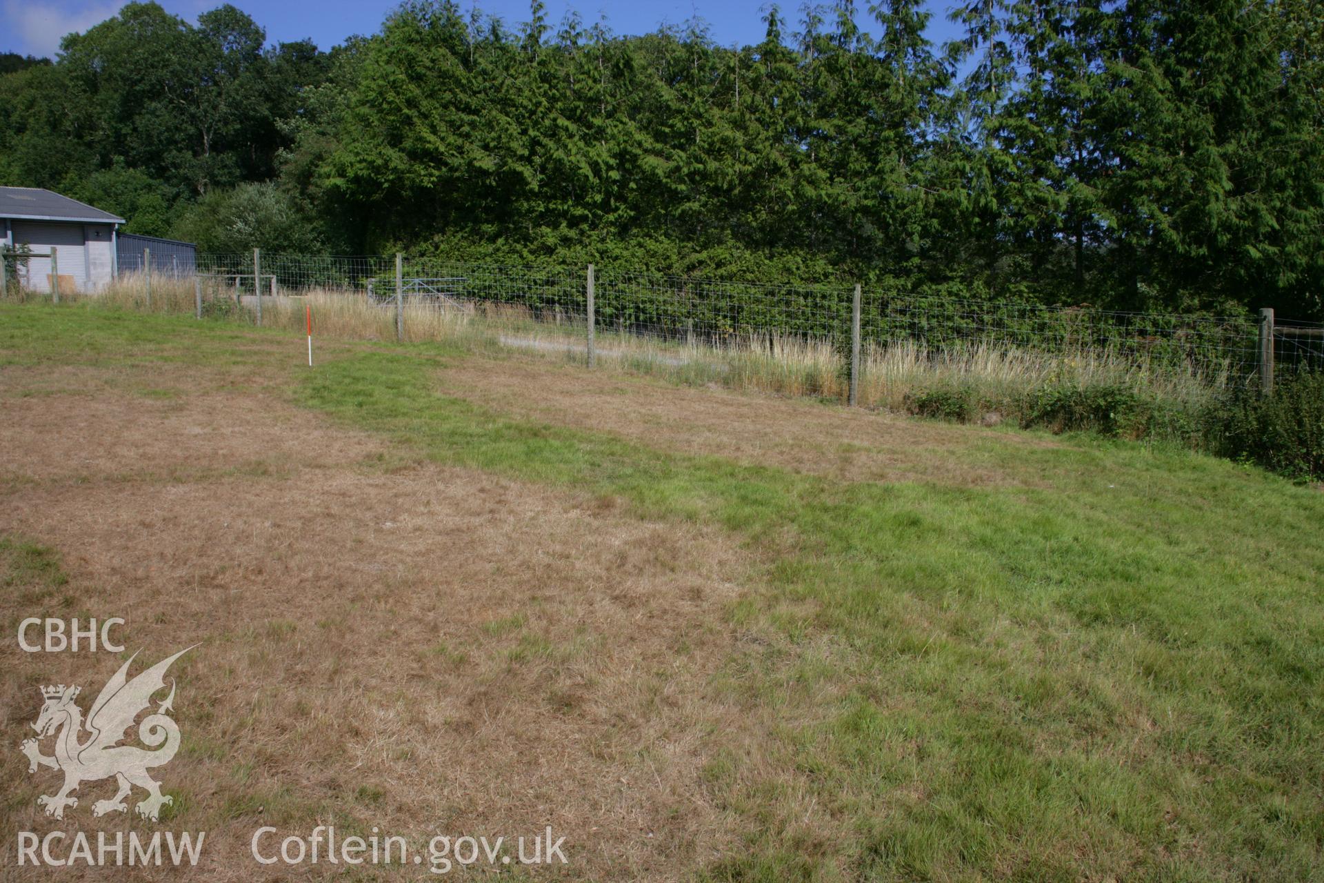 Gogerddan Park Enclosure, cropmark from ground. View from north-west, scale 1m.