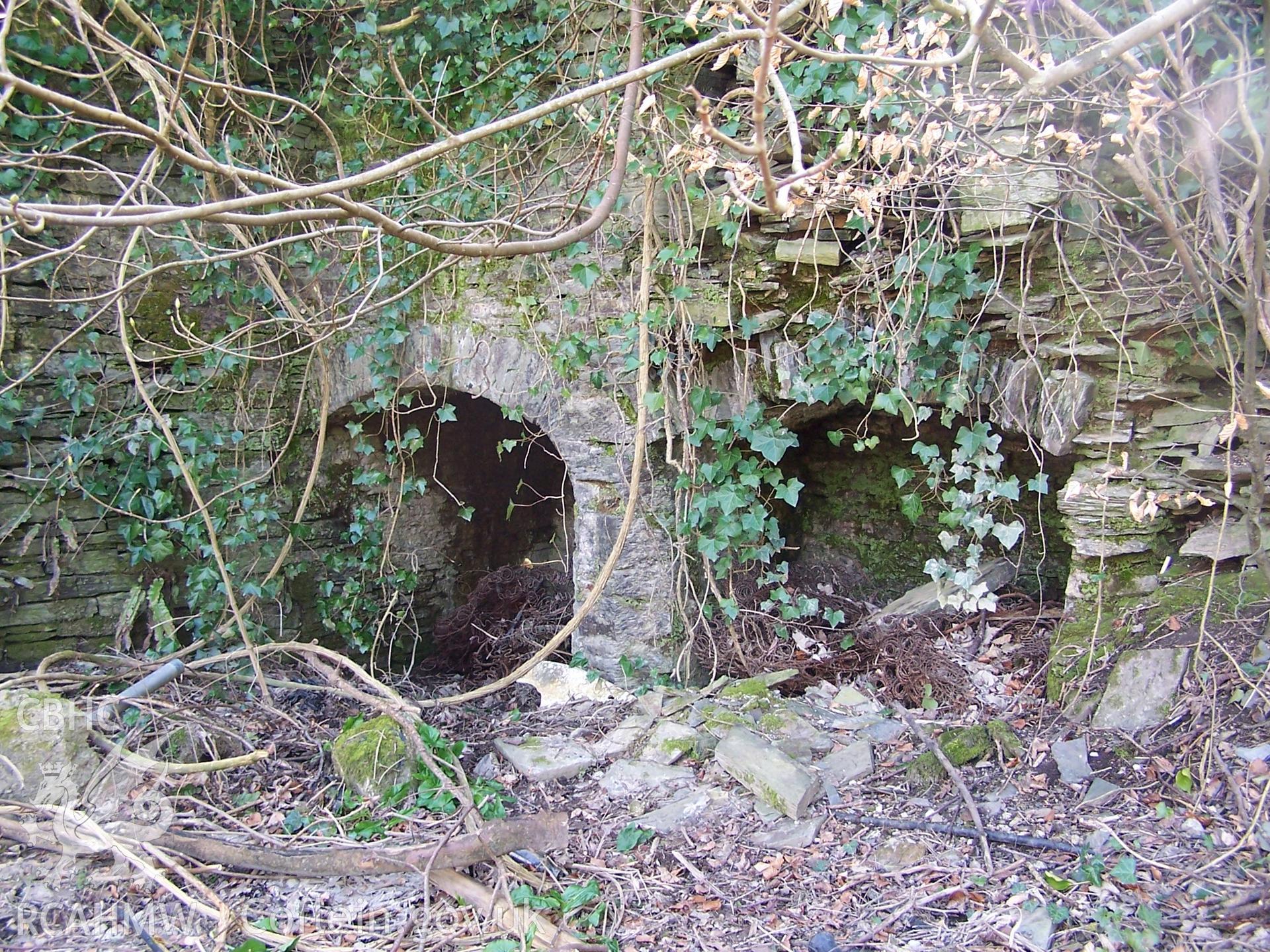 Pair of furnaces set into a retaining wall at the southern end of the Castell Malgwyn Tinplate Works complex.