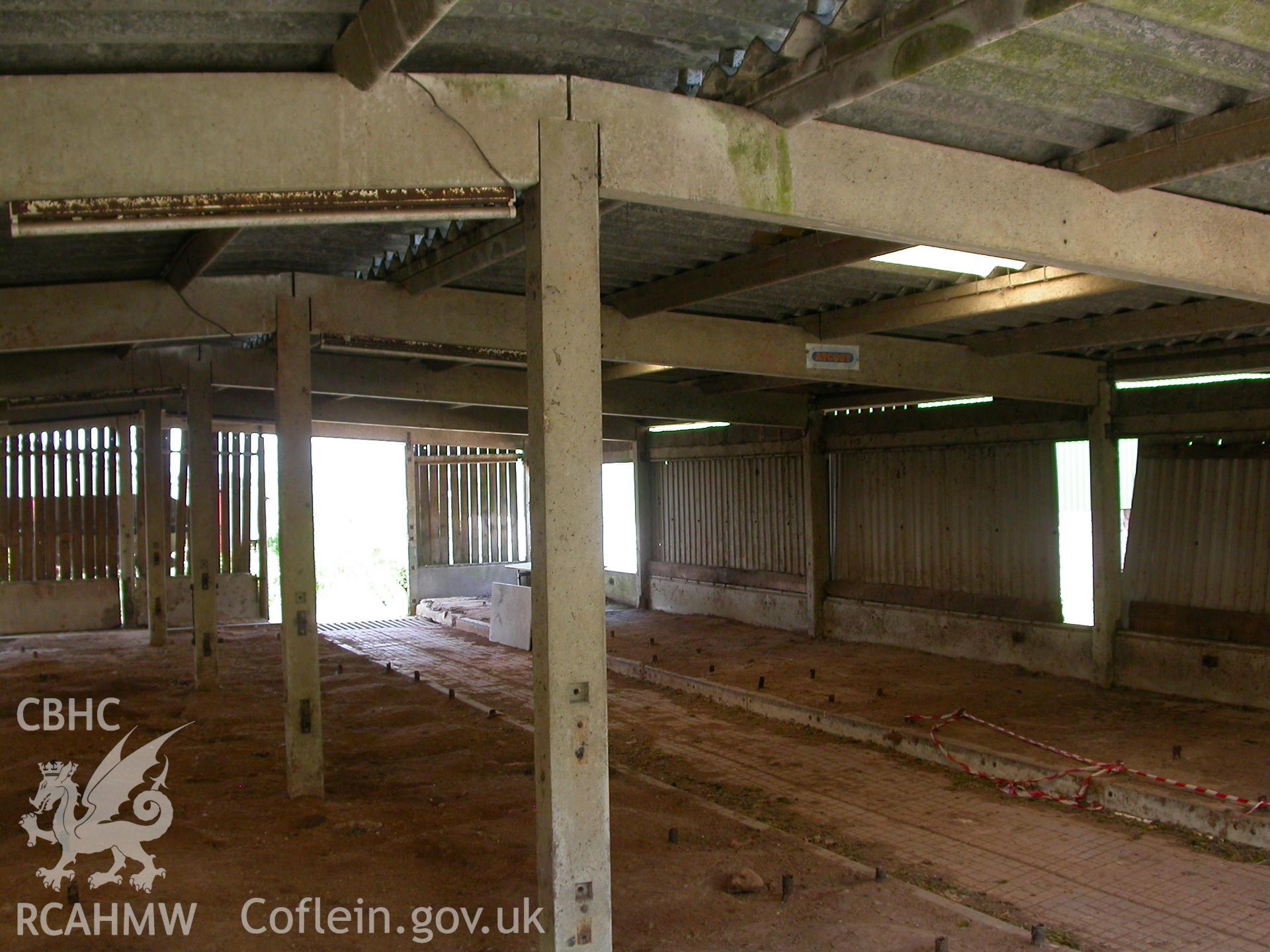 Interior of 5-bay mid-late C20th, concete post and truss Atcost building for cattle with corrugated asbestos roof.