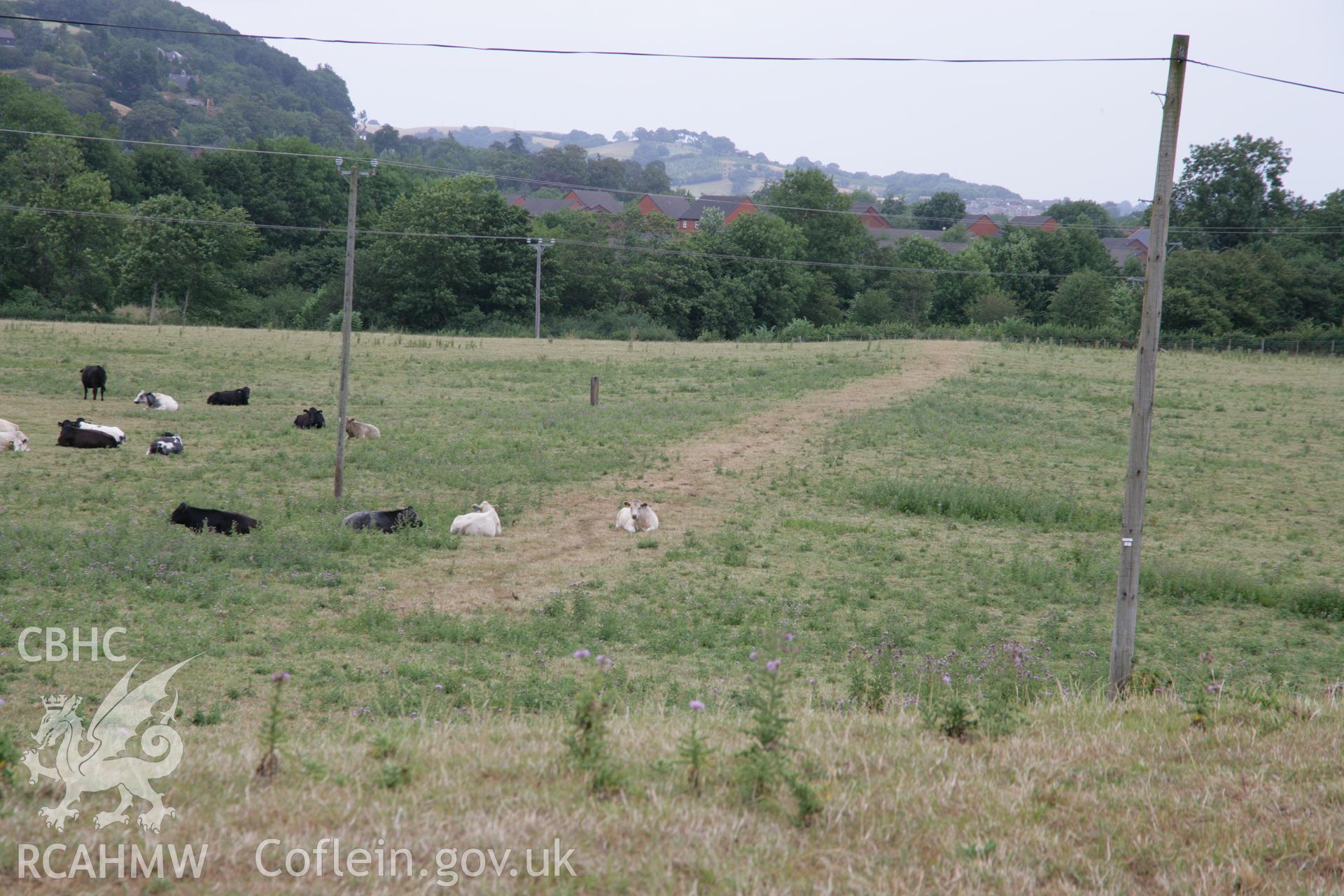 Glan Hafren Roman road. View of parchmark looking east north-east from driveway at SO 08339036