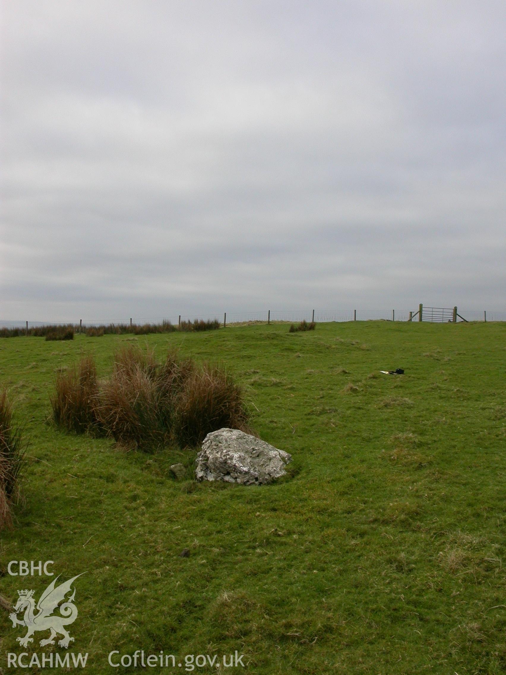 Standing stone within complex, view from north-east (NPRN404901)