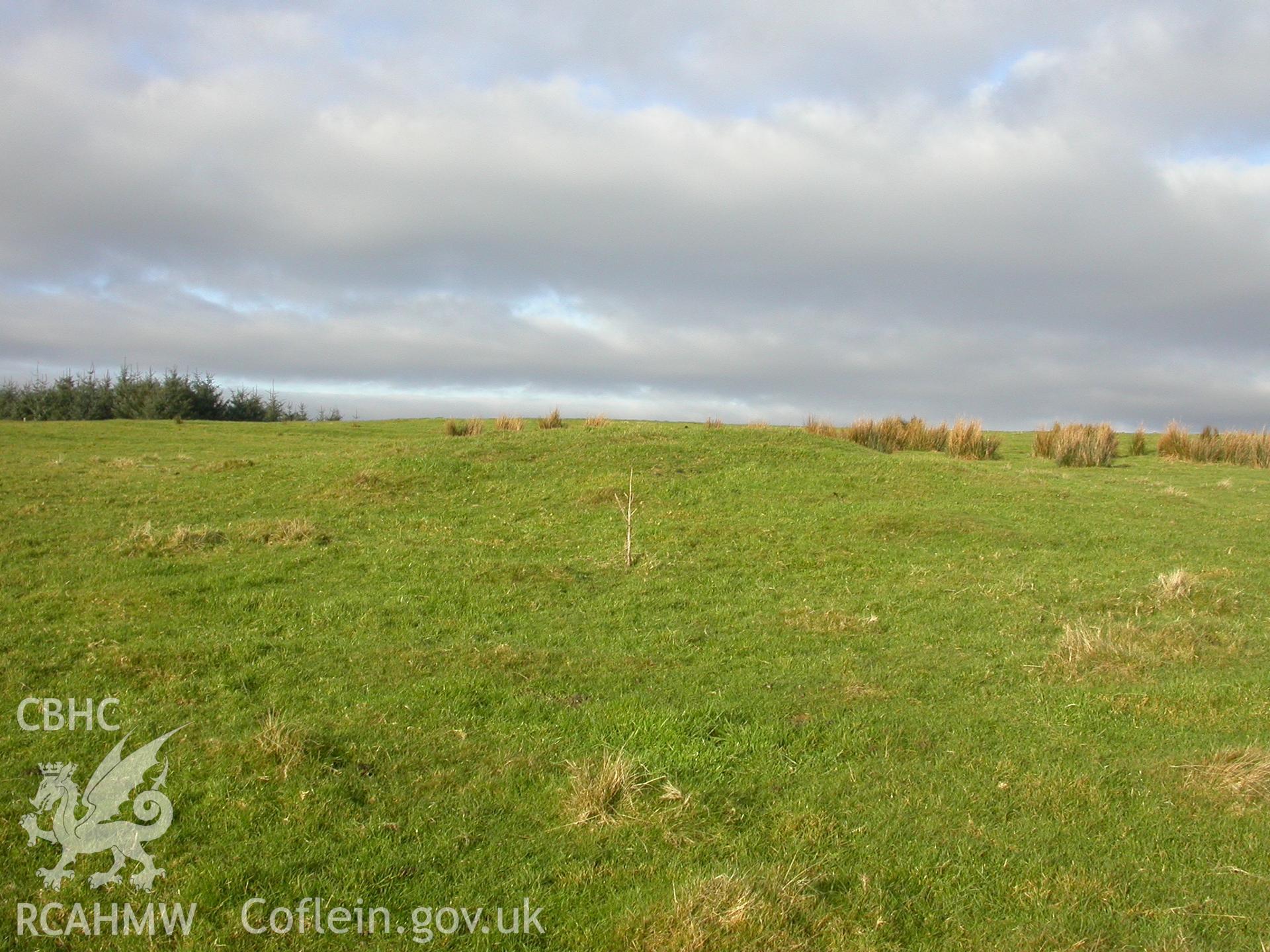 Northernmost of two round barrows within complex, view from south-east (NPRN403515)