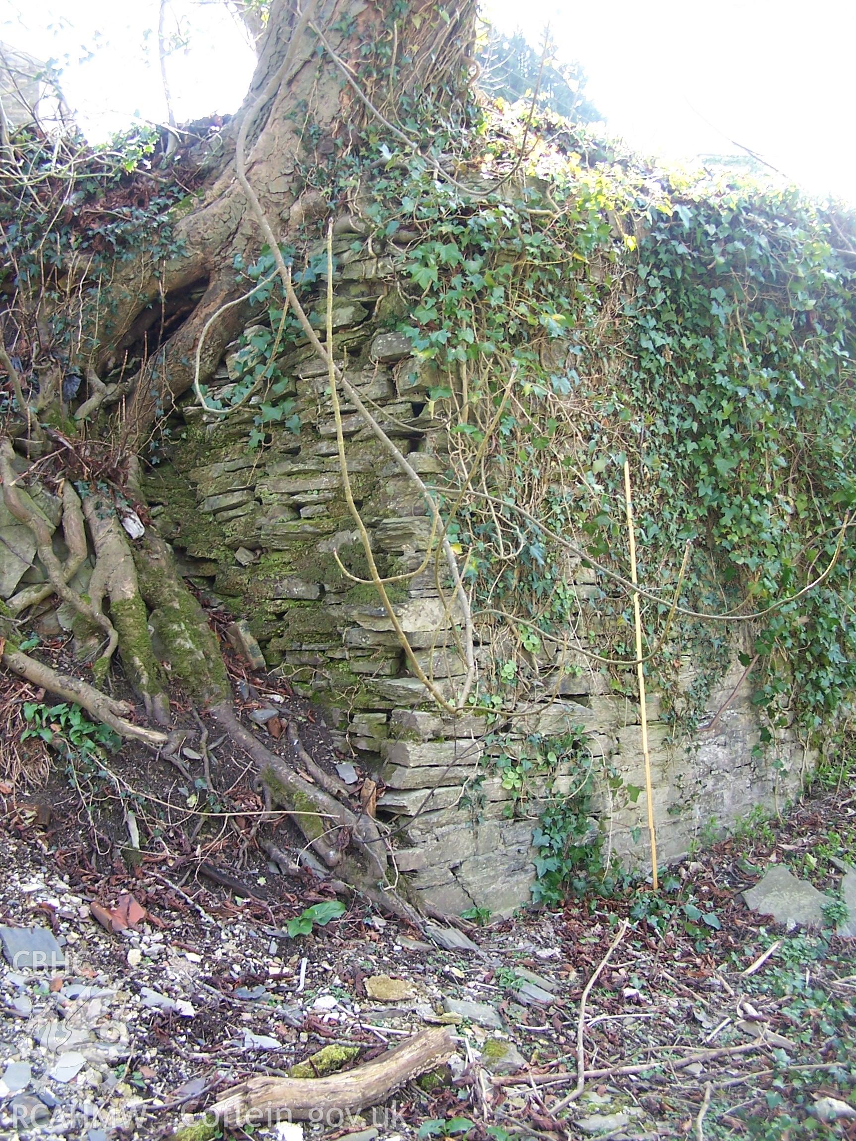 Section of the retaining wall defining the eastern boundary of the Castell Malgwyn Tinplate Works.