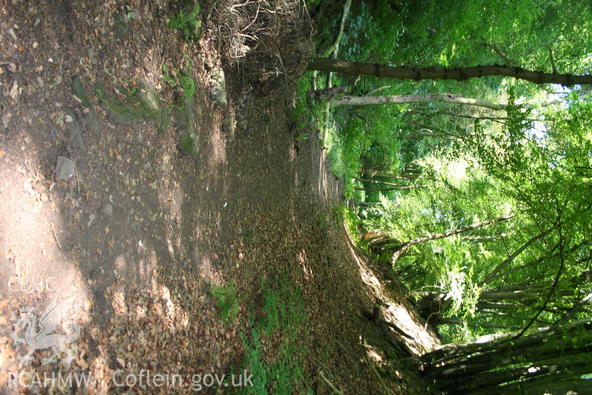 Looking up (north-west) Incline Stage 3 of the Llanfoist Inclines.