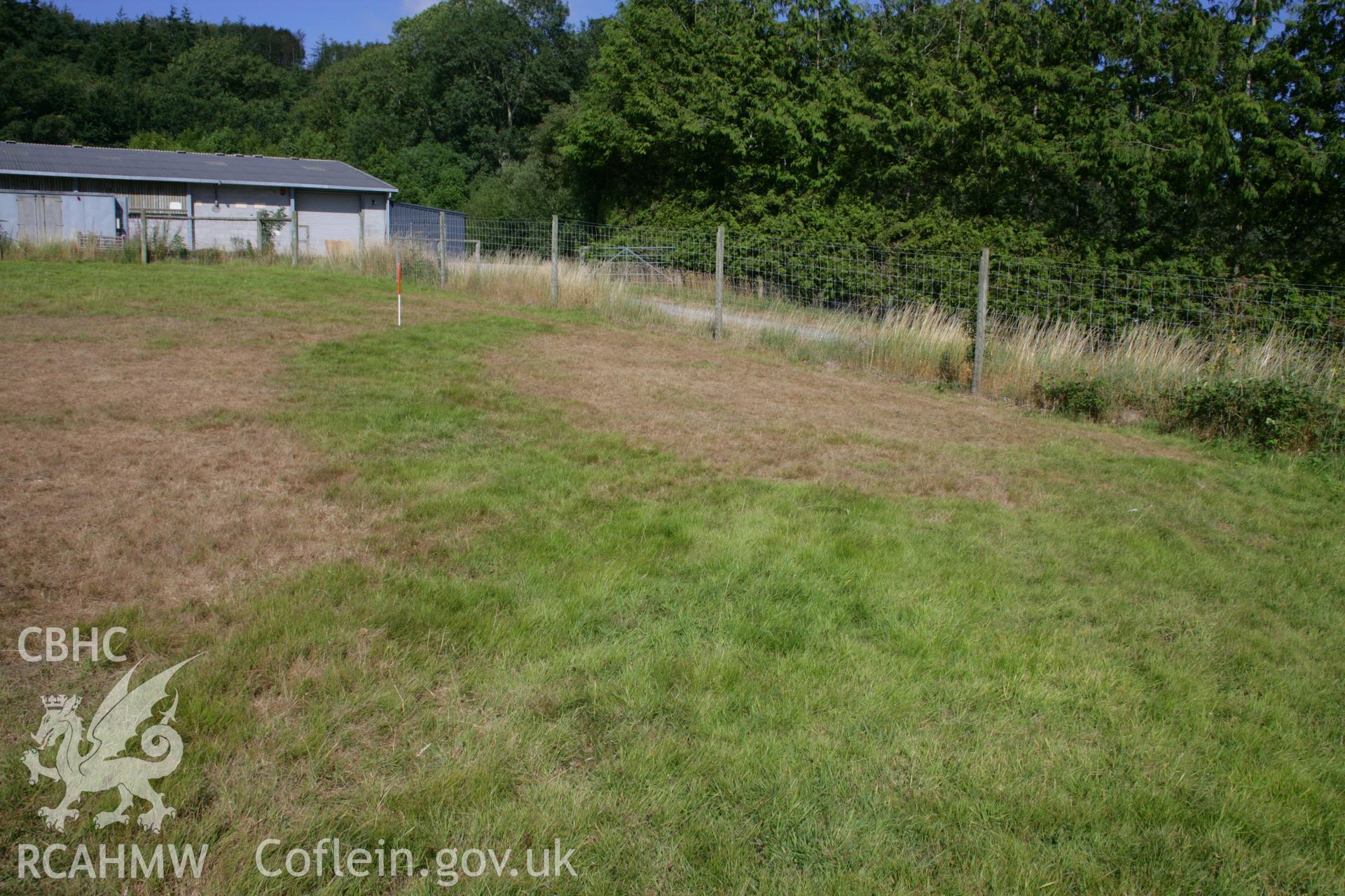 Gogerddan Park Enclosure, cropmark from ground. View from south-west, scale 1m.