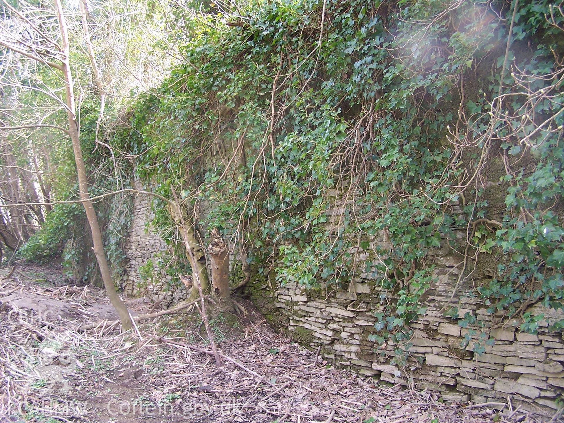 Section of the retaining wall defining the eastern boundary of the Castell Malgwyn Tinplate Works.