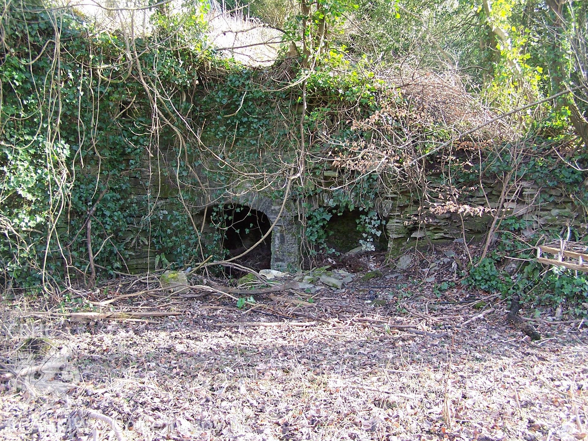 Pair of furnaces set into a retaining wall at the southern end of the Castell Malgwyn Tinplate Works complex.