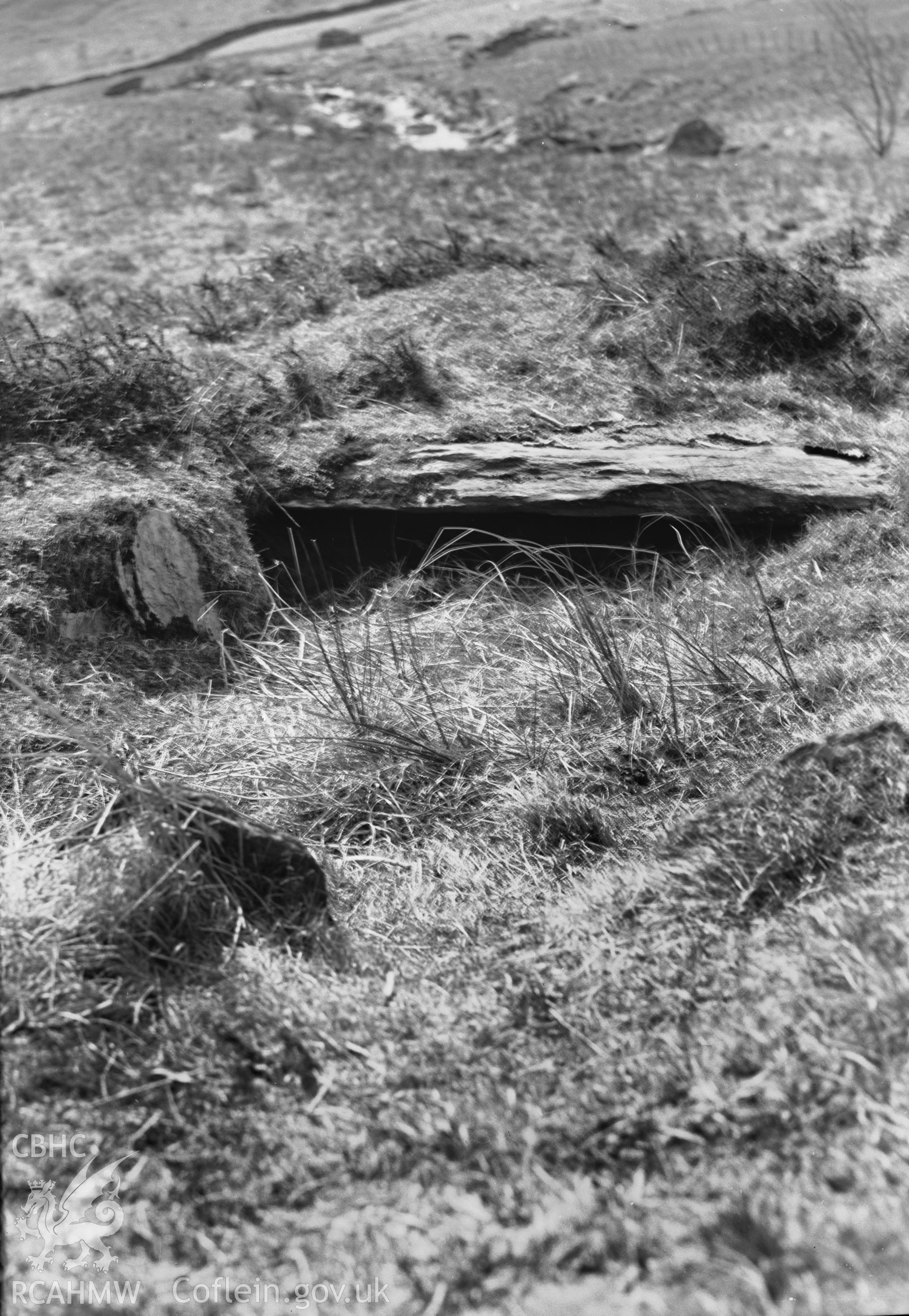 View of corn drying kiln, Round Huts, SH65, Dolwyddelan taken 26.04.1951.