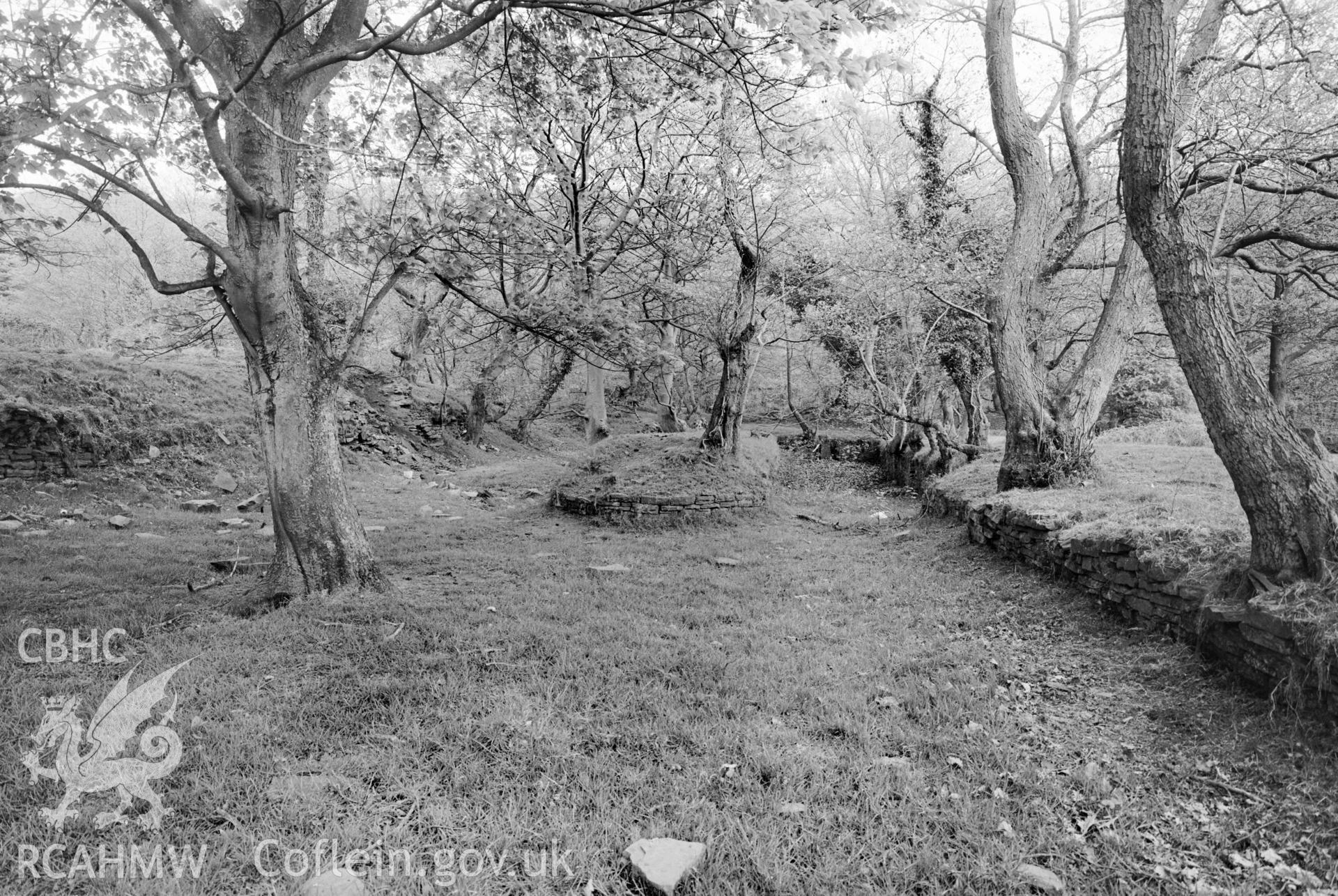 View showing Ynyscedwyn Ironworks Colliery Branch.