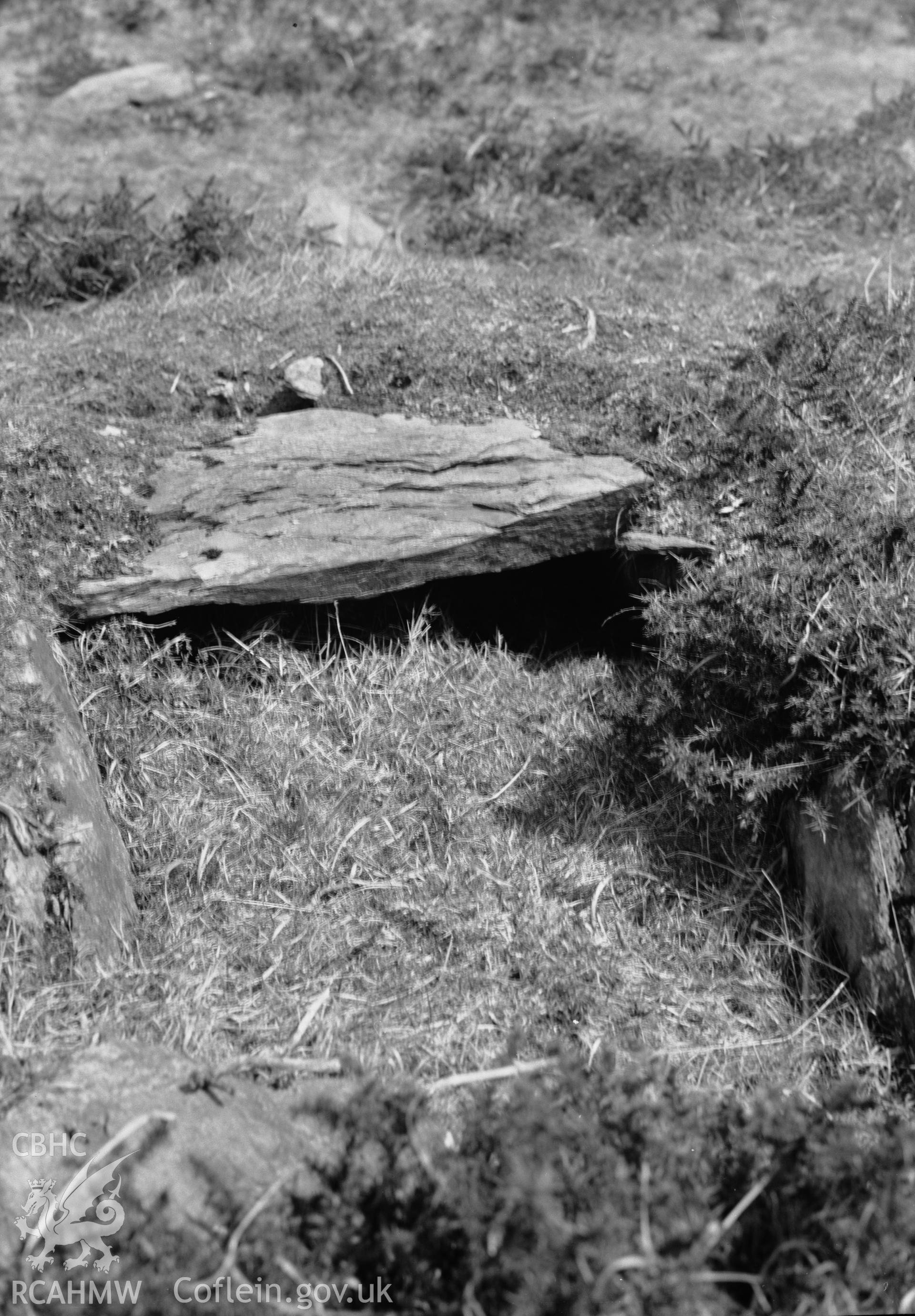 View of corn drying kiln, Round Huts, SH65, Dolwyddelan taken 26.04.1951.