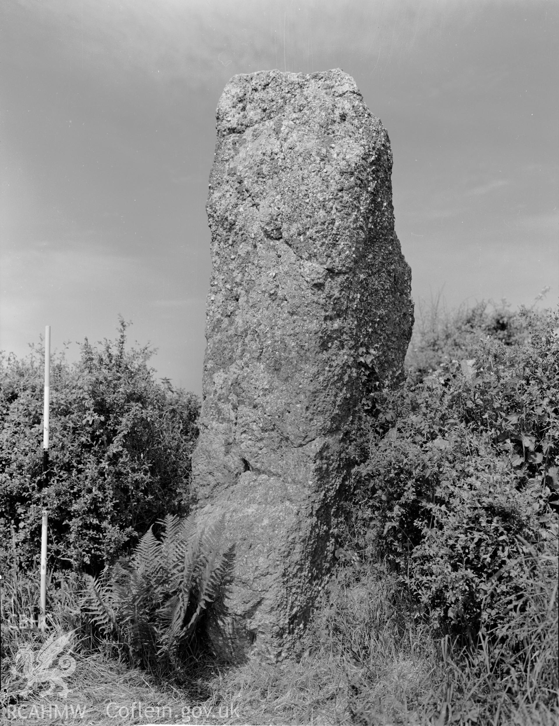 View of Samson's Jack Stone, Llanrhidian Lower, taken 12.05.1956.