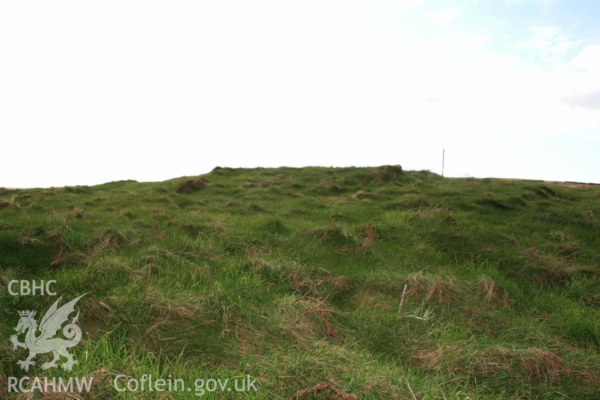 Looking north to the platform within the interior of the fort.