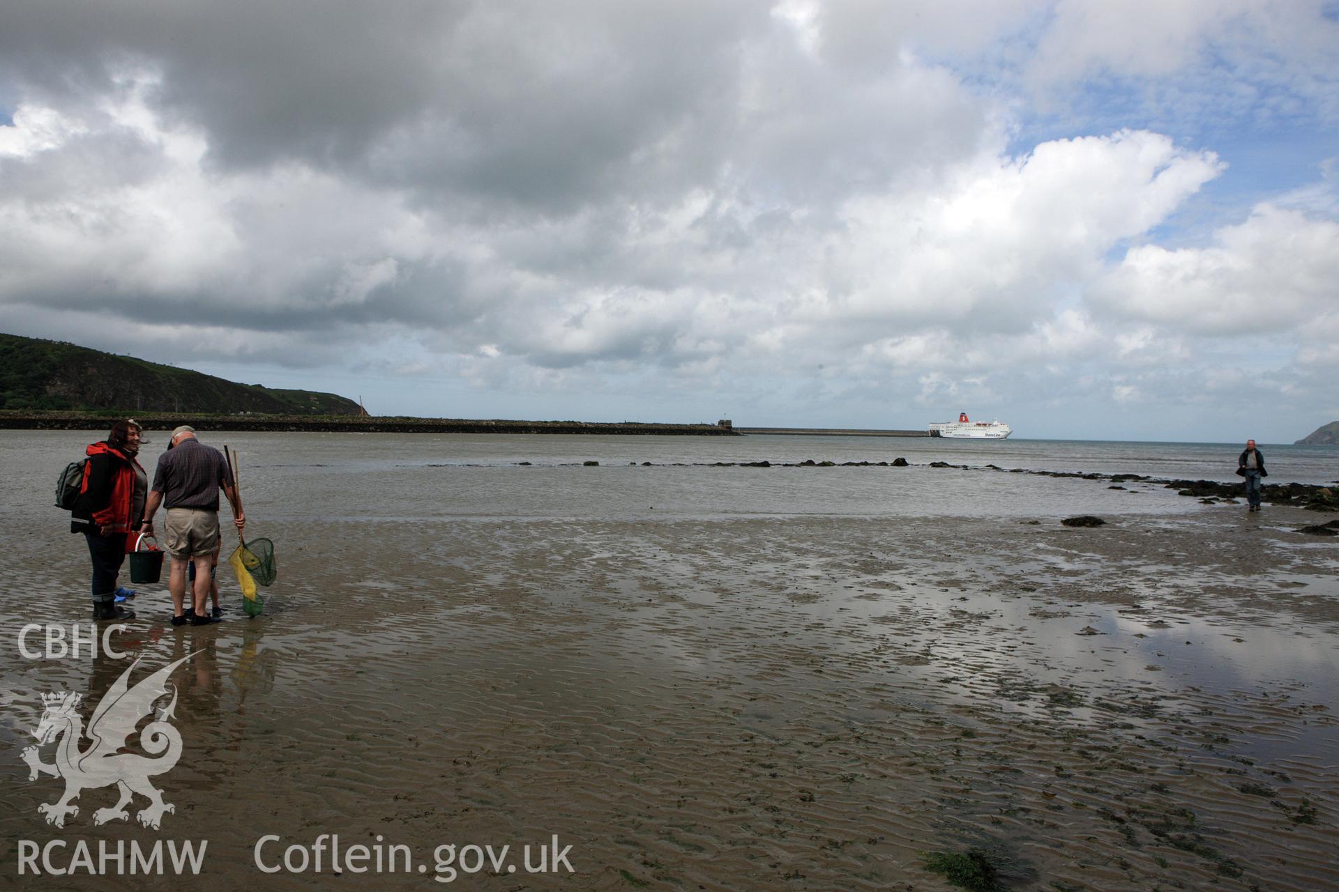 Fishguard harbour south-east fish trap at low tide.