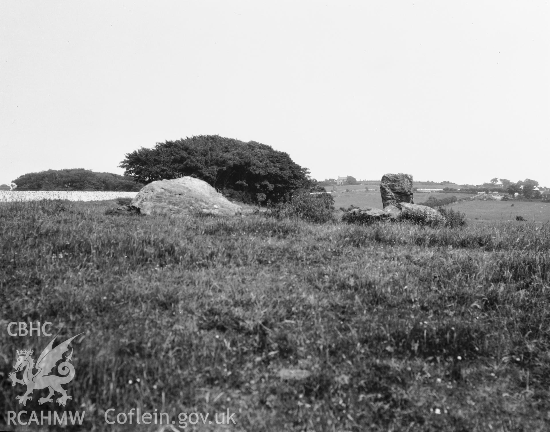 Black and white photograph showing general view of Hendrefor Burial Chamber, taken by RCAHMW before 1960.