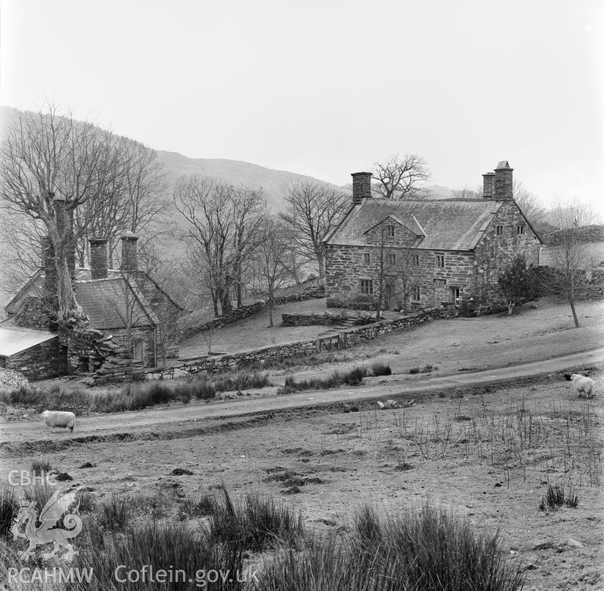 General view of cottages and Parc