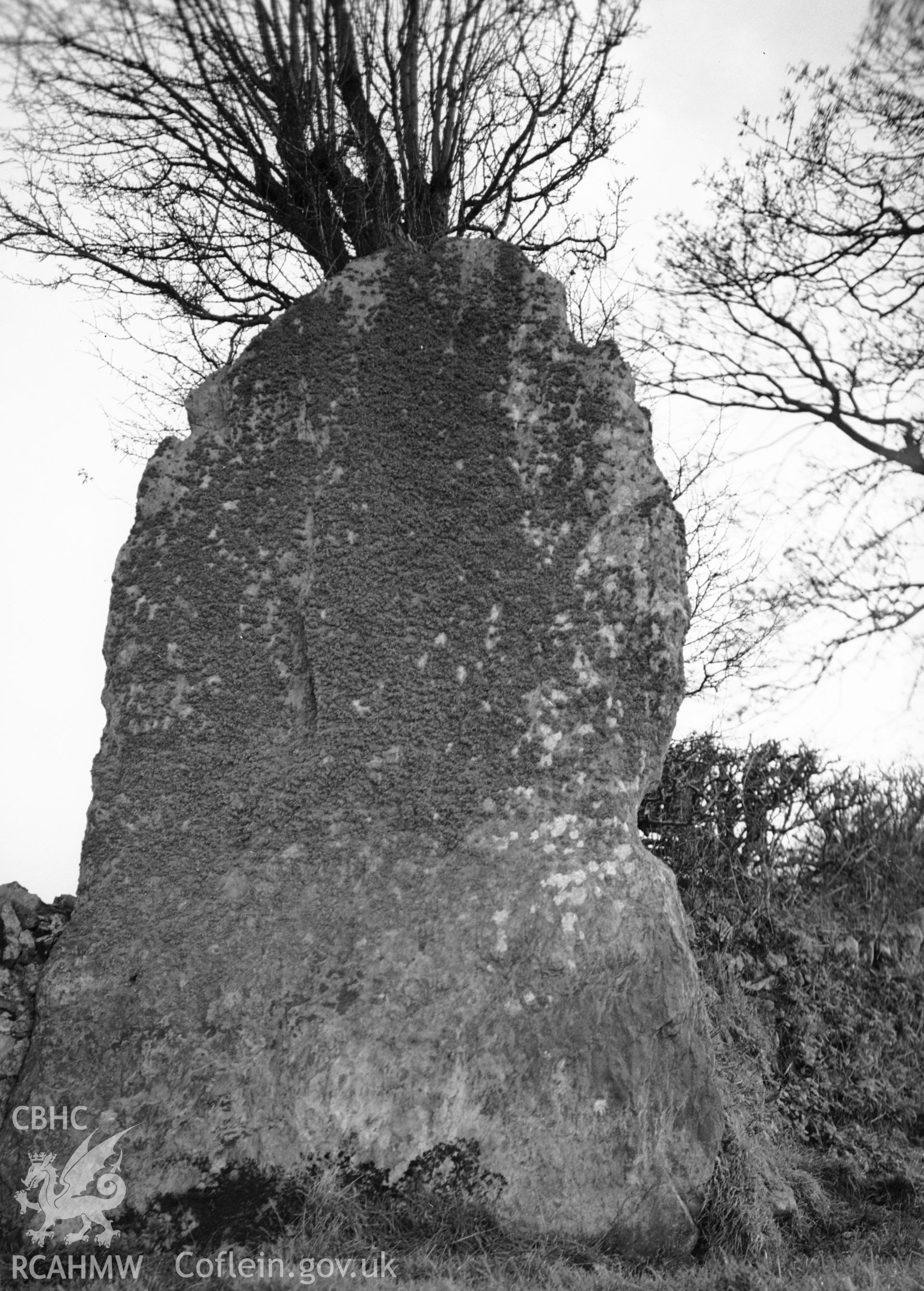 One black and white photograph showing Bryngwyn stone, taken by RCAHMW , before 1960.