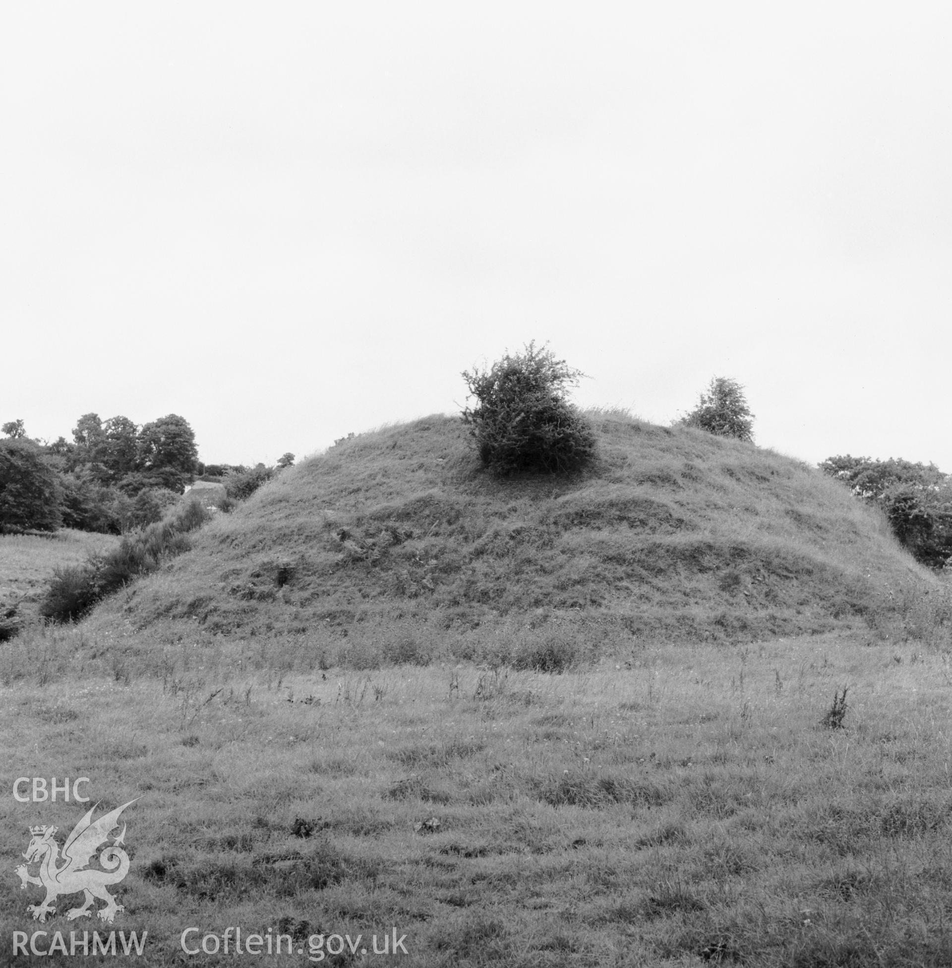 View of the motte.