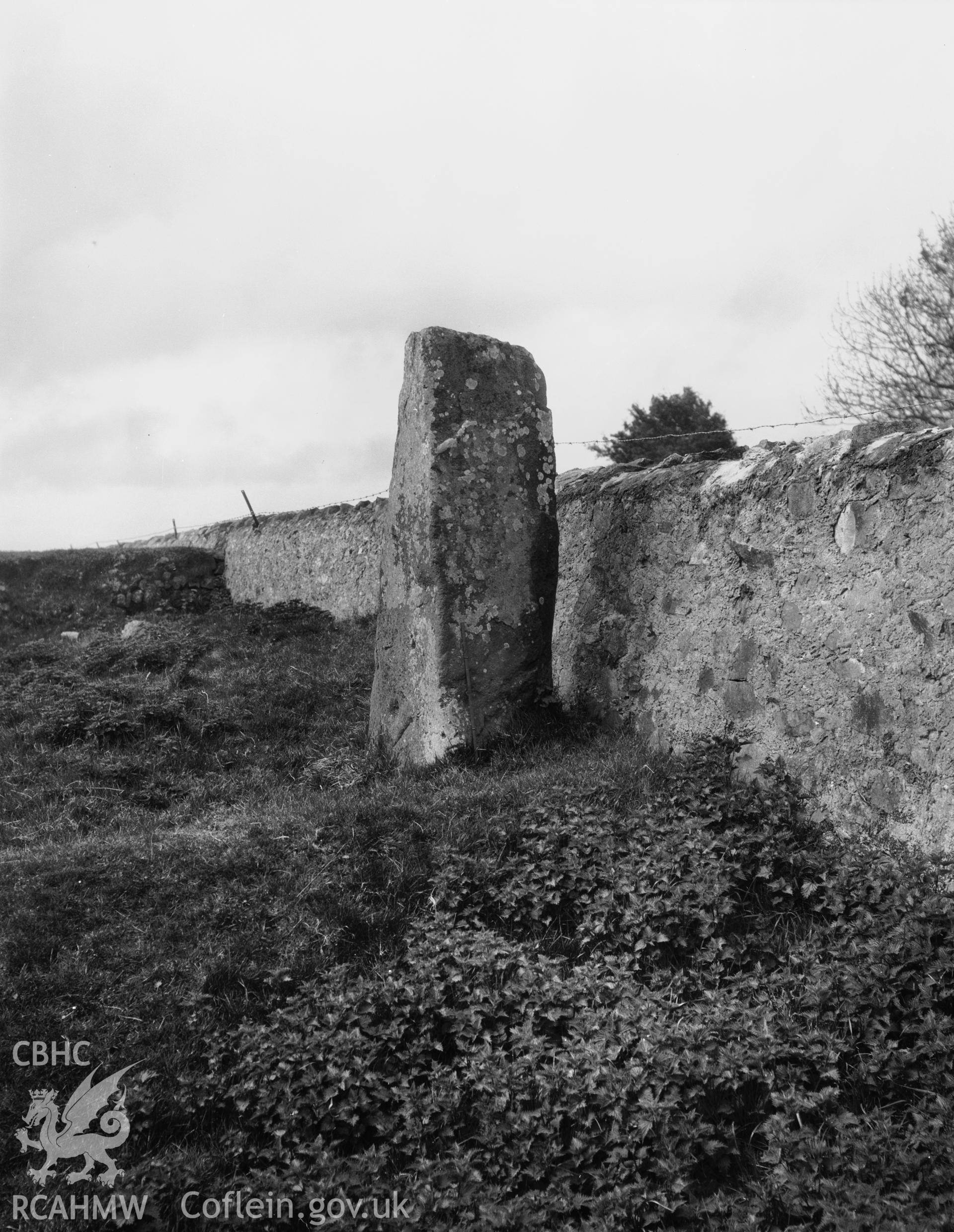 One black and white photograph taken by RCAHMW before 1960.