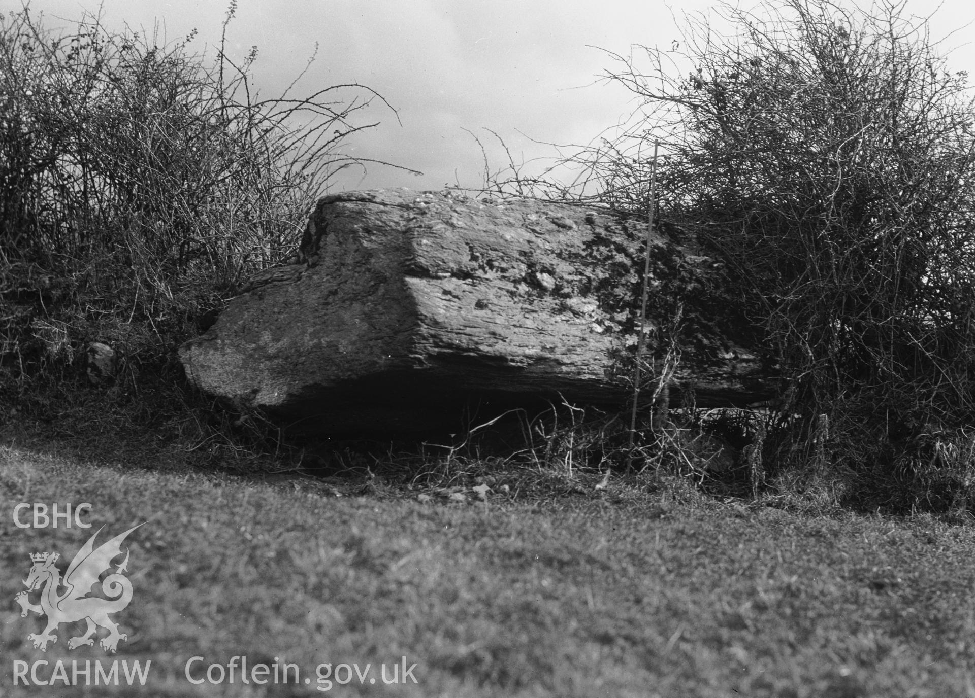 One black and white photograph showing Perthi Duon Burial Chamber, taken by RCAHMW , before 1960.