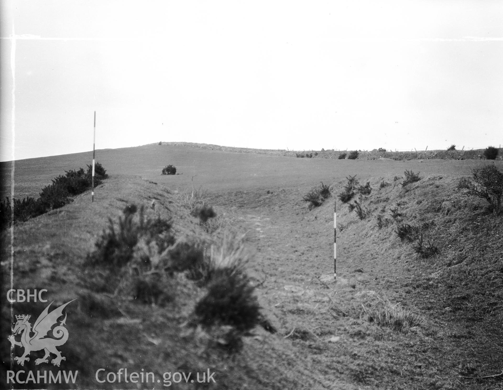 One black and white photograph  showing the east side of the enclosure looking north, taken before 1960.