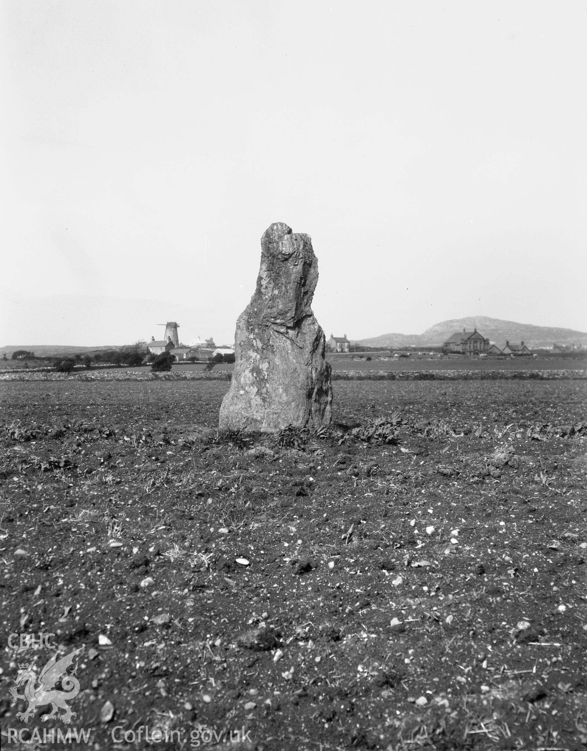 General view of Ty Mawr Standing Stone, taken by RCAHMW before 1960.