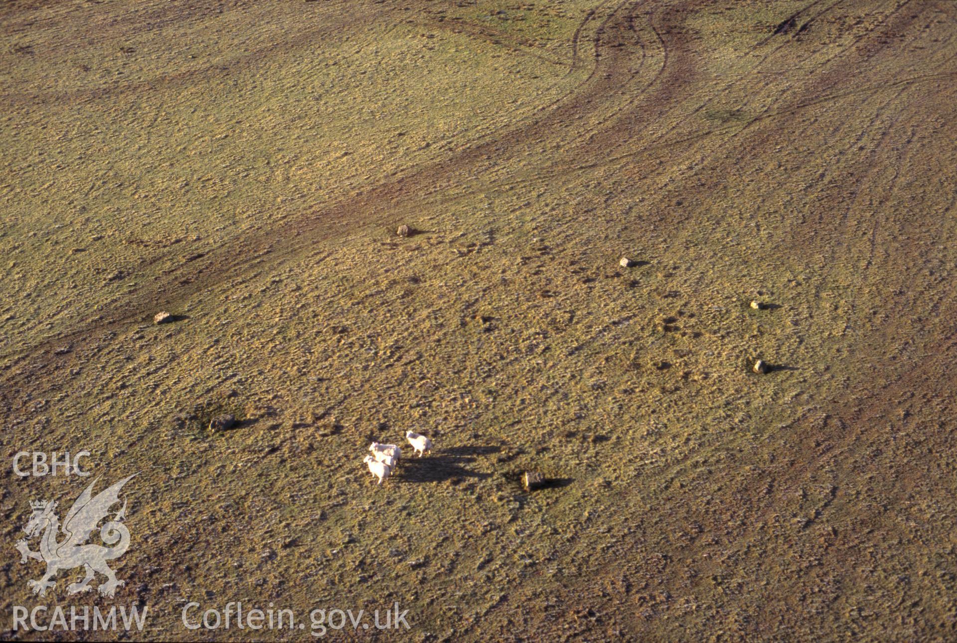 RCAHMW colour slide oblique aerial photograph of Lled Croen-yr-ych Circle, Llanbrynmair, taken on 20/12/1998 by CR Musson