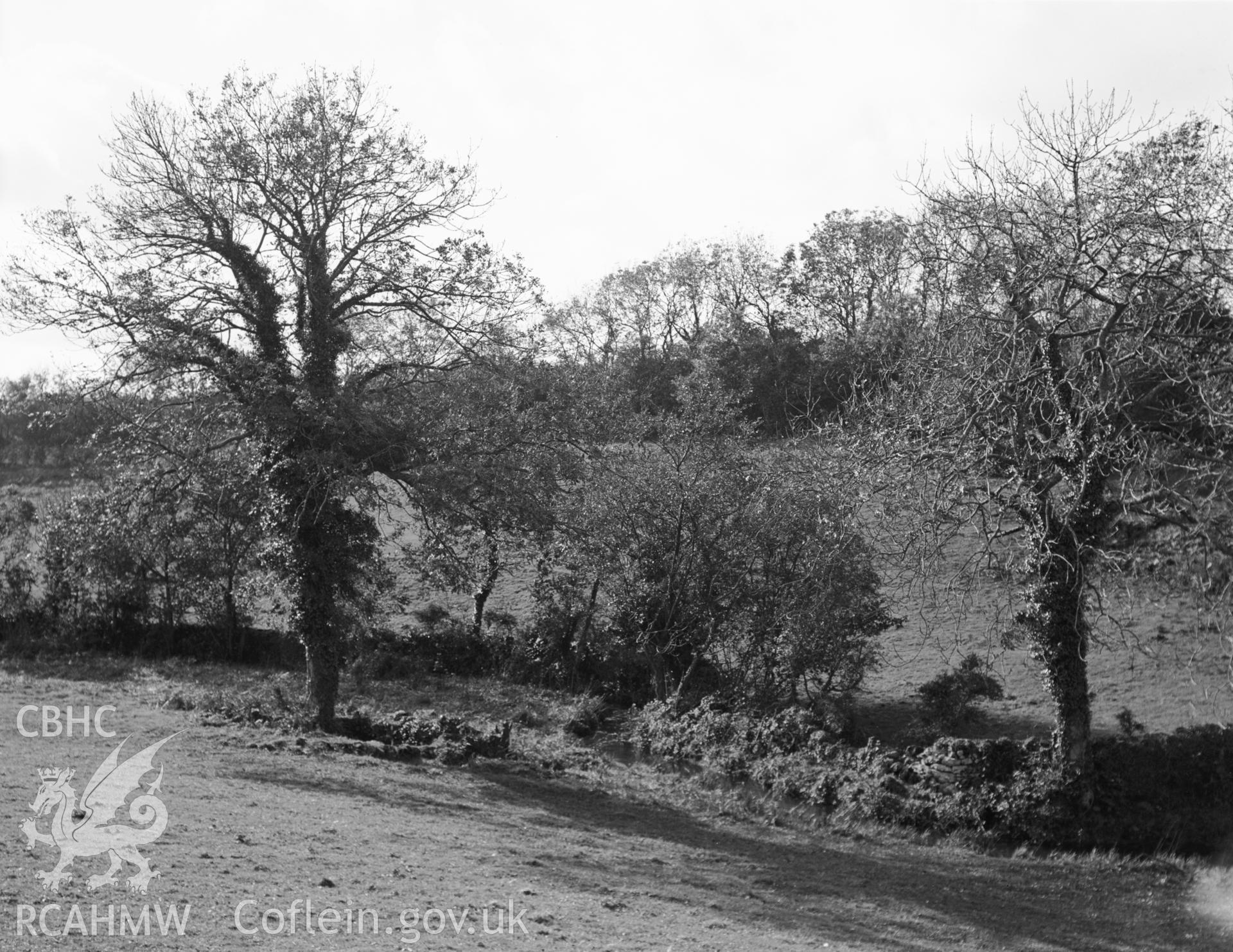 One black and white photograph of Ffynnon Allgo, Llanallgo.