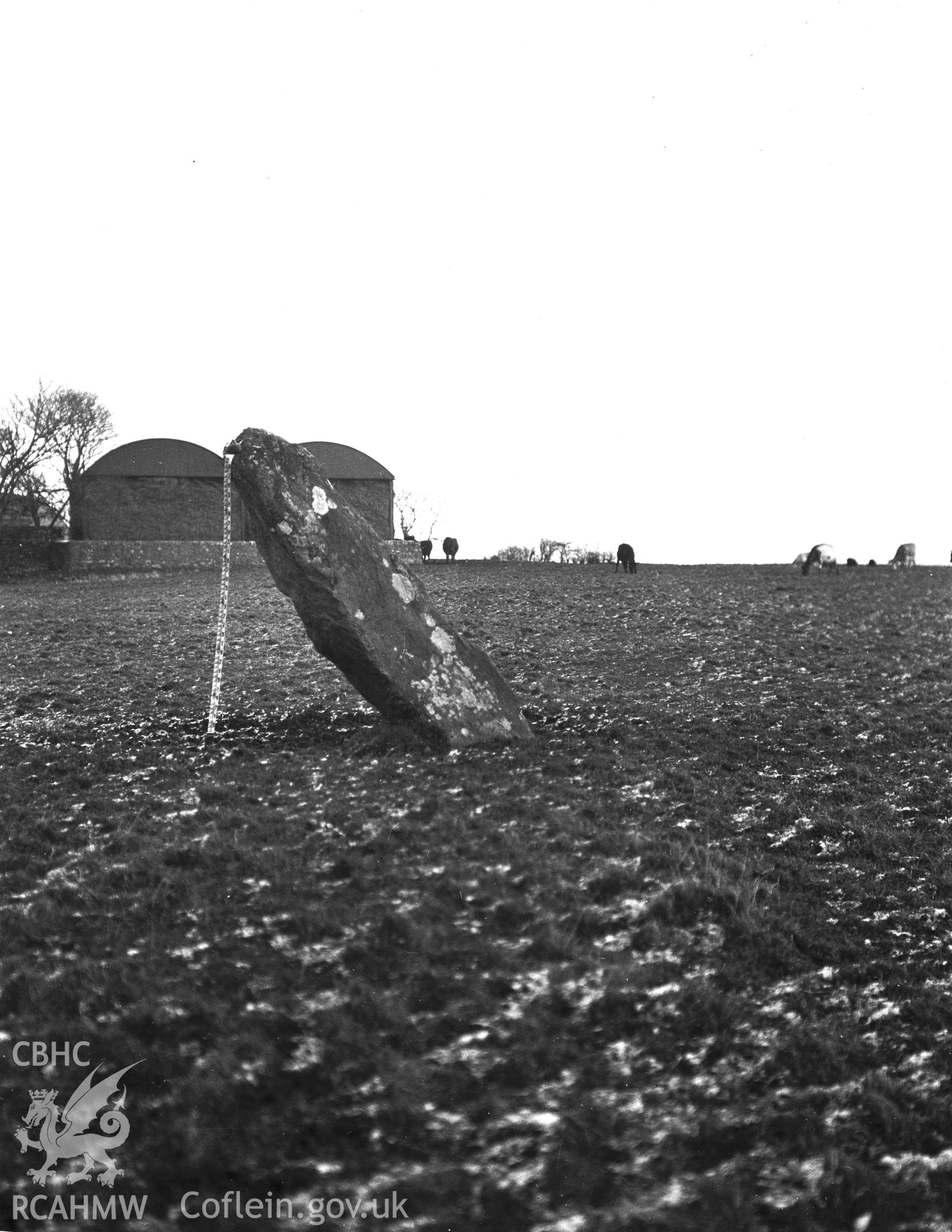 Black and white photograph of Ty'n Llan Standing Stone taken by RCAHMW before 1960.