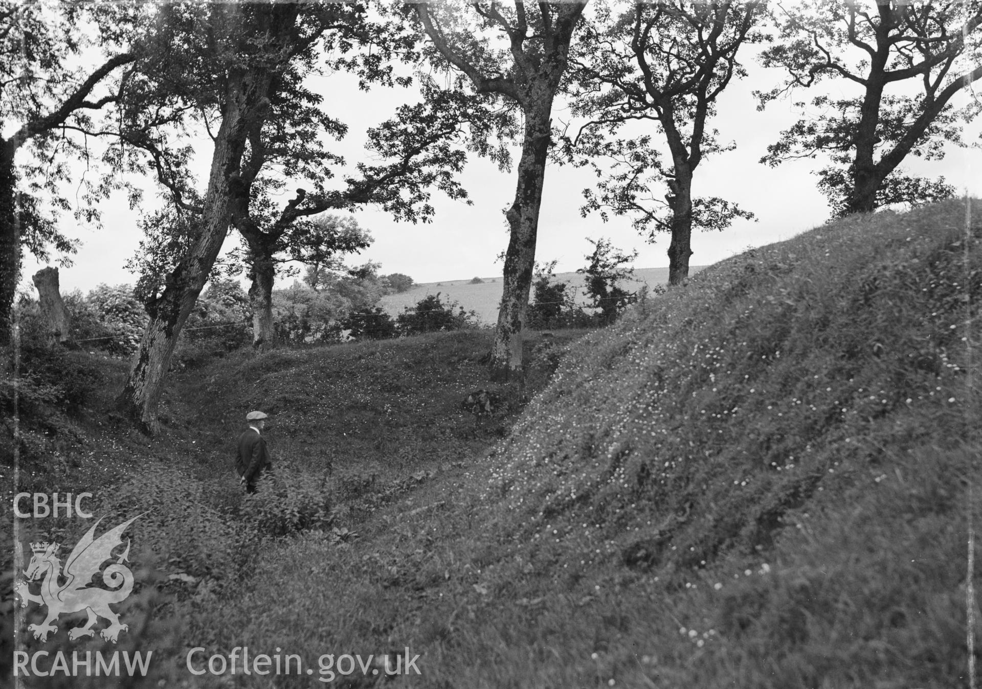 Black and white photograph of Tre Garnedd, Llangefni.