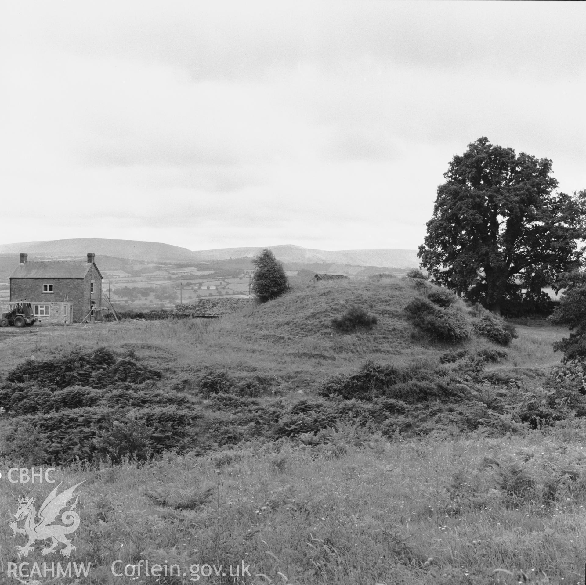 View of the motte.