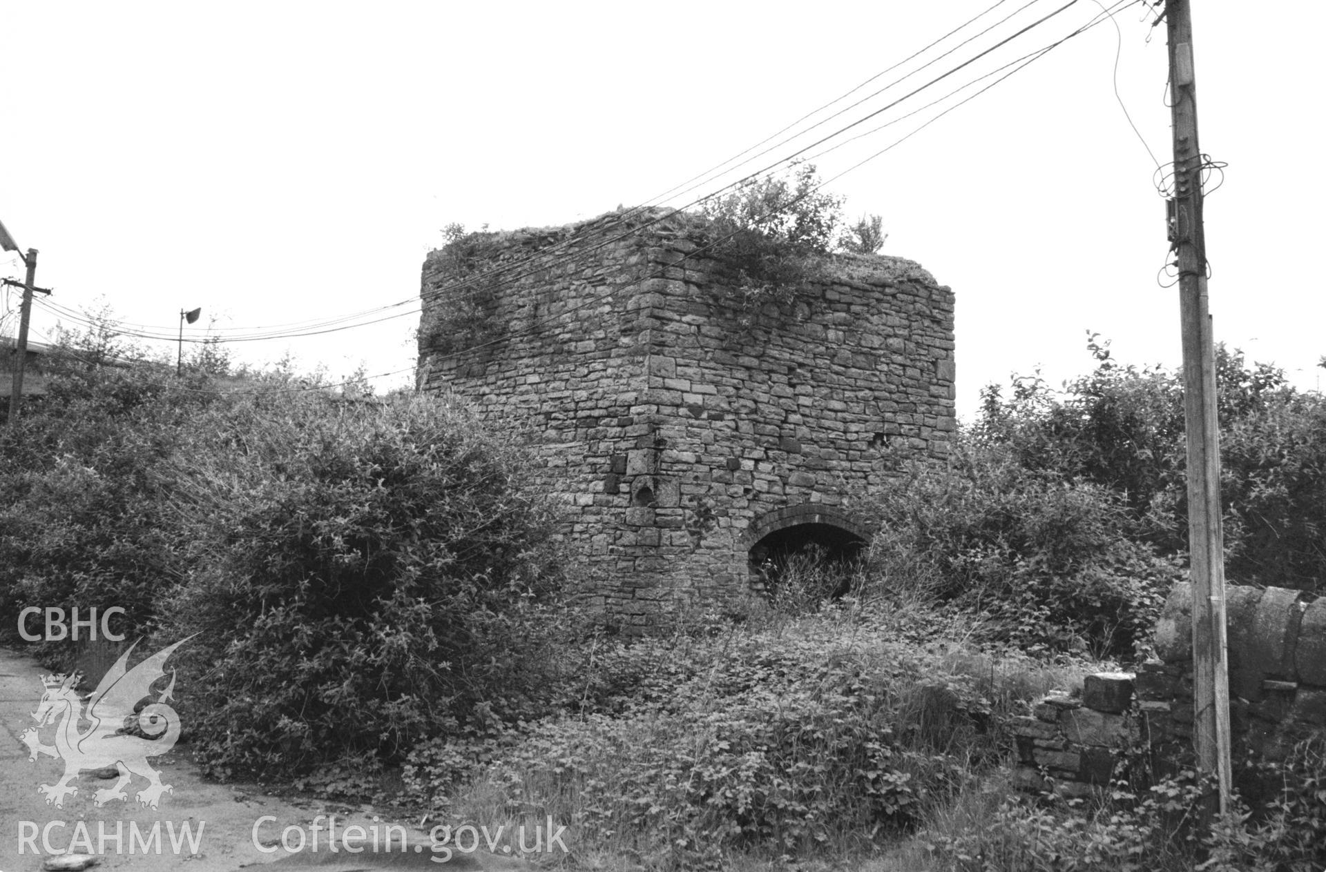 Hafod Limekiln; Photo survey comprising 1 photo taken by B.A. Malaws dated 25 May 1994.