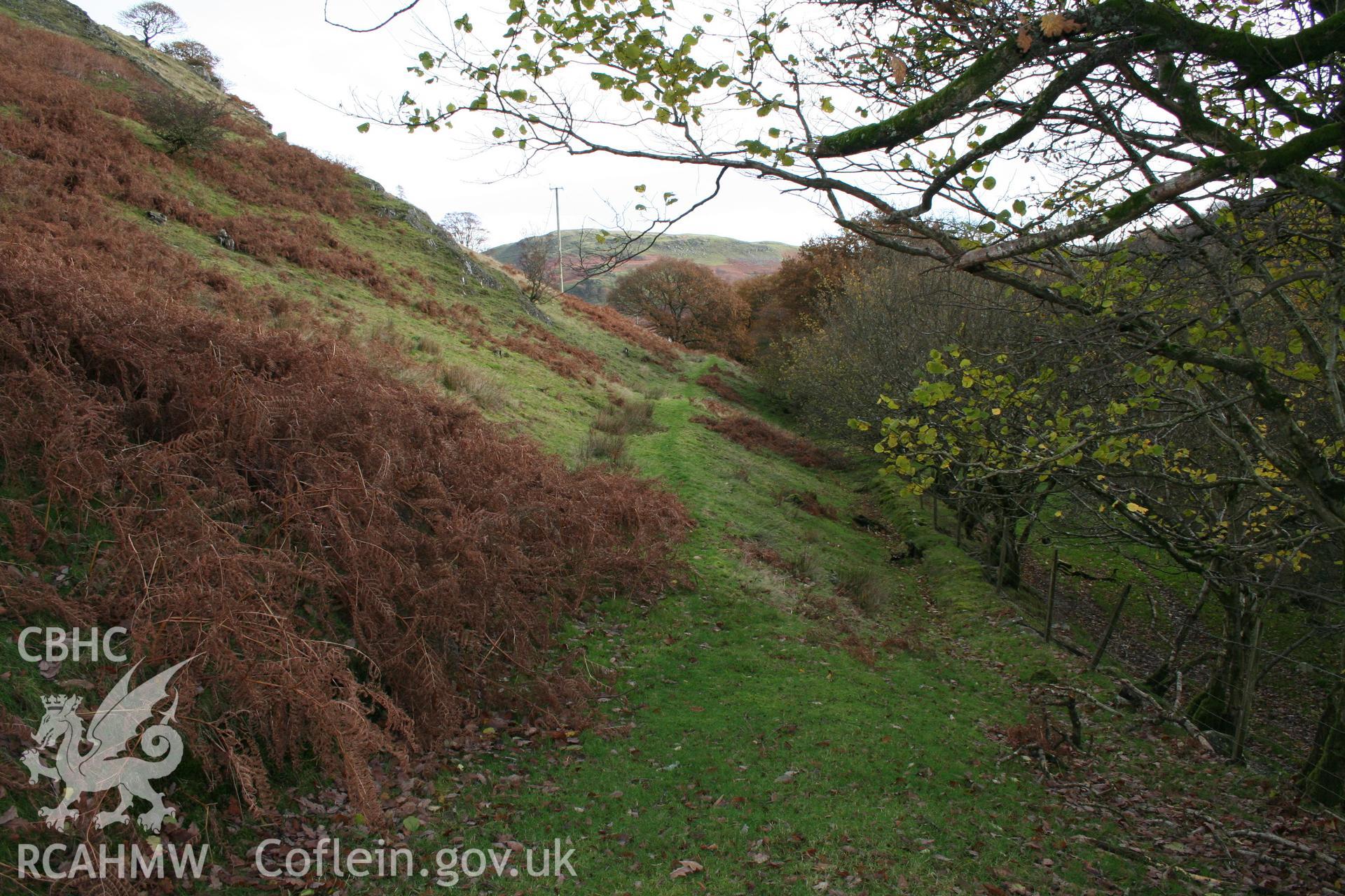 RCAHMW digital photographic survey of Woodland Boundary IV, Coed Troed-y-Rhiw, Ystrad Fflur, Ceredigion, by Louise Barker, 16/11/2007.