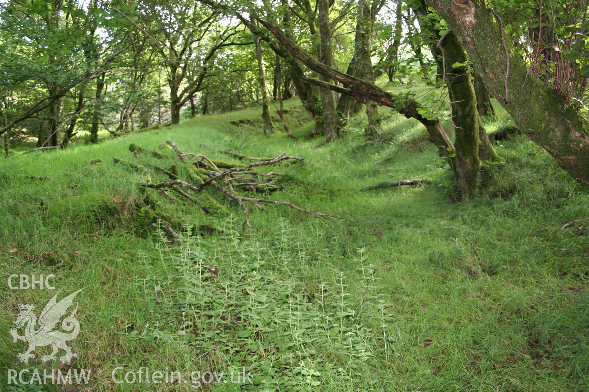 Looking along a section of hollow way from the south-west