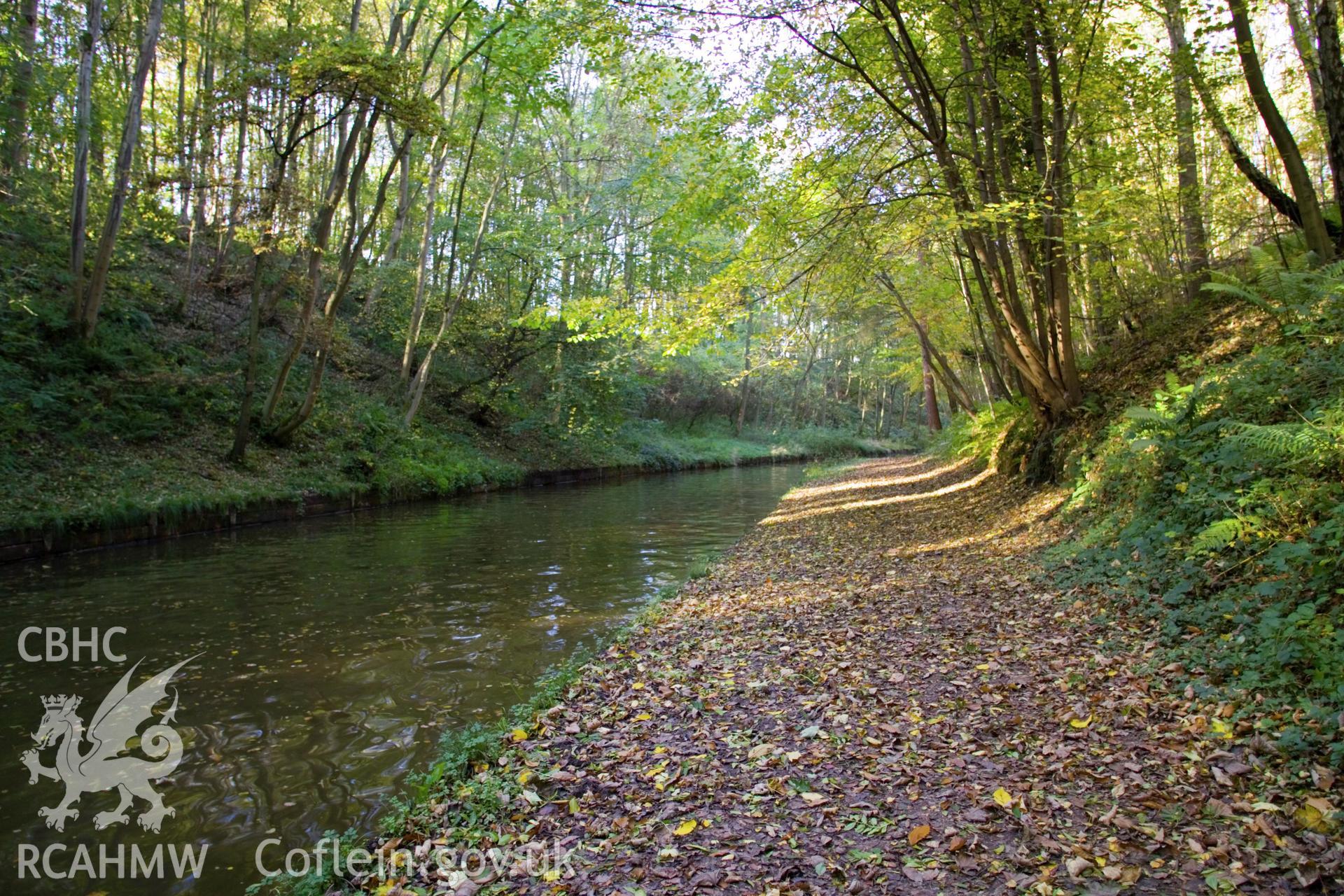 Canal cutting.