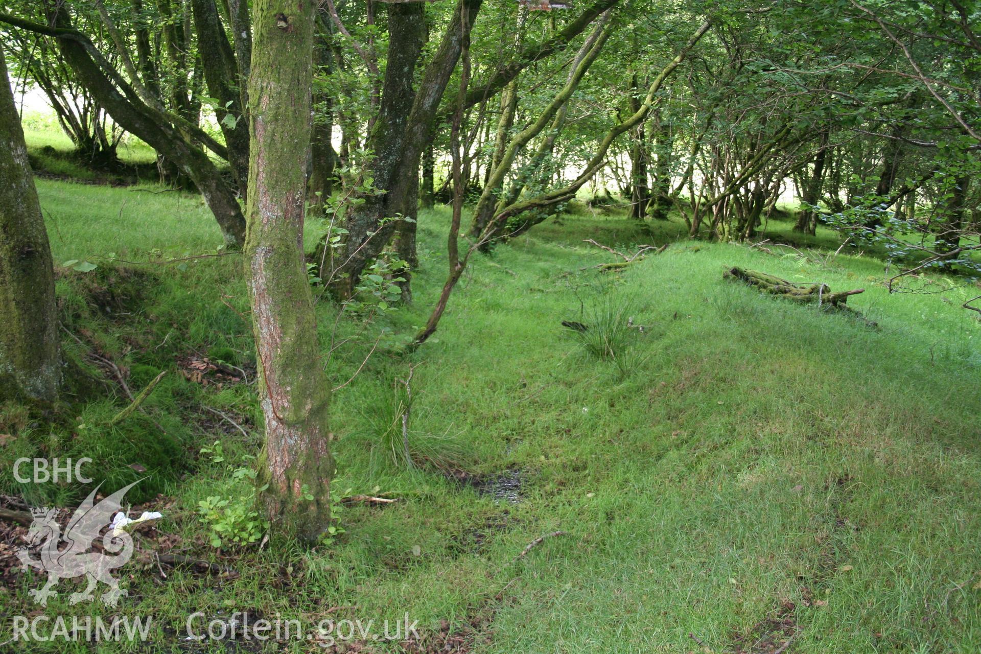 Looking down the hollow way from the north-east